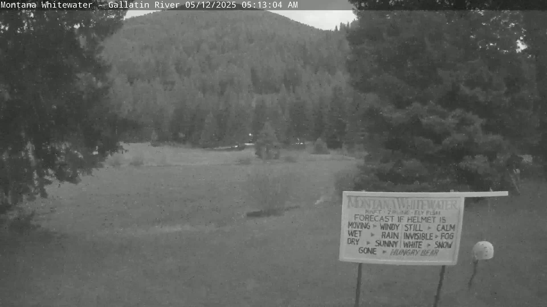 A grayscale image shows a grassy area with trees and a hillside in the background, under calm conditions.