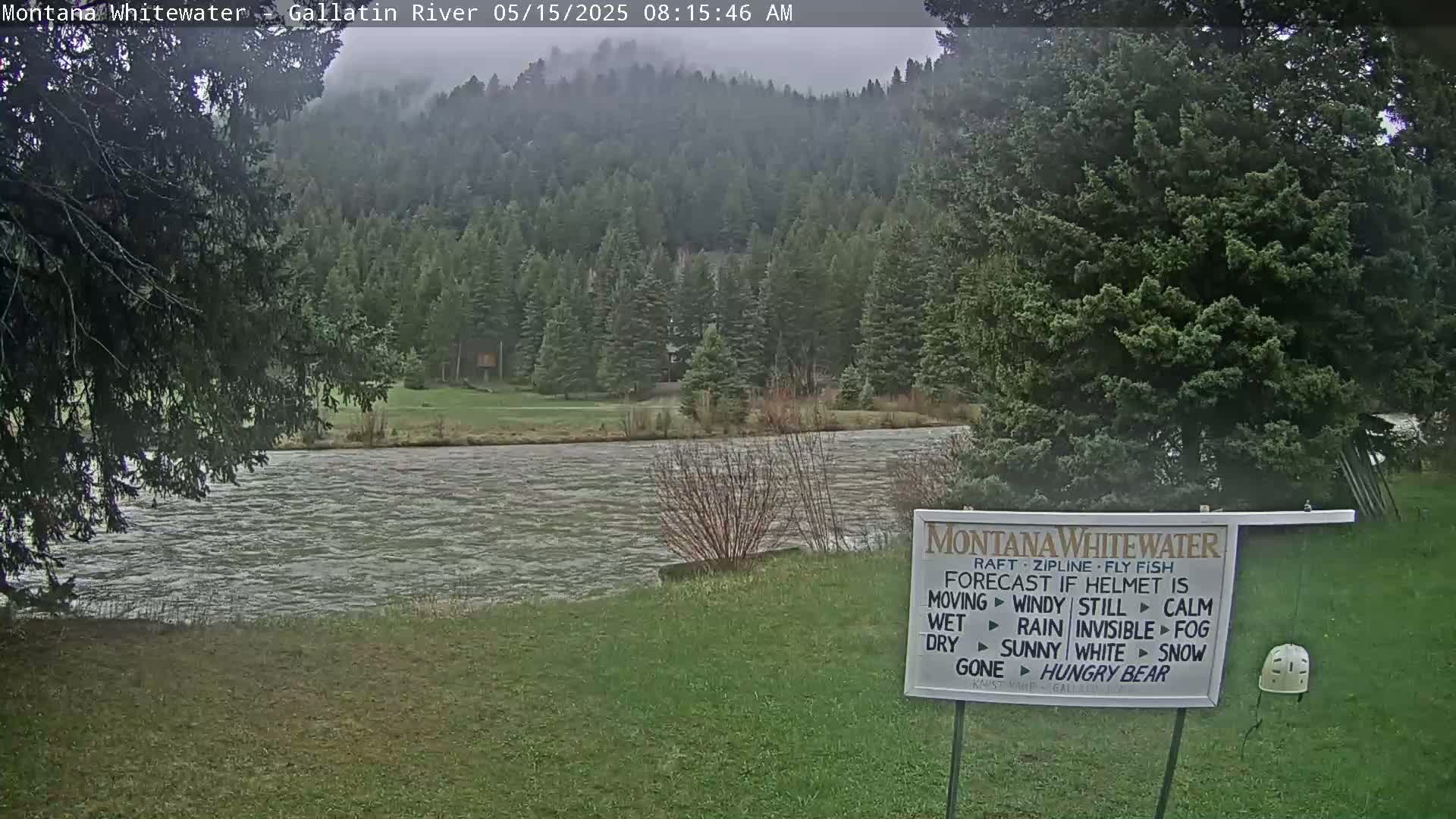 A river flows past a grassy bank, bordered by evergreen trees under an overcast sky.