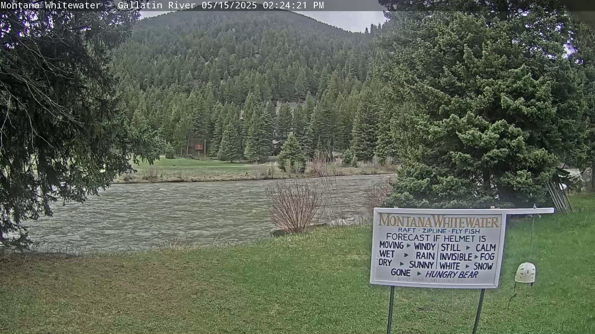 A river flows past a grassy bank and forested hillside under an overcast sky.