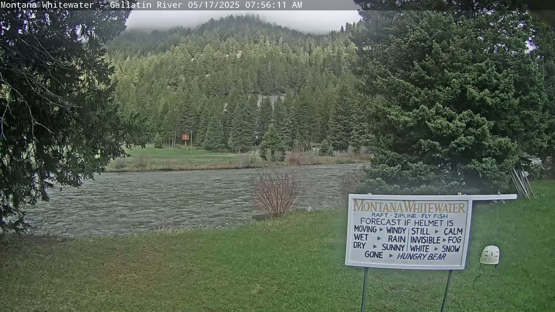 A river flows gently past a grassy bank beneath an overcast sky, with a dense forest of evergreen trees rising in the background.