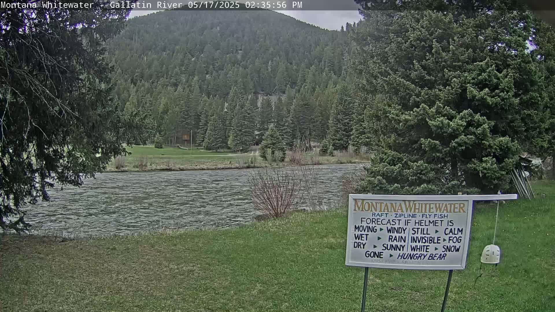 A river flows gently past a grassy bank, with a forest of evergreen trees covering the hills in the background under a cloudy sky.