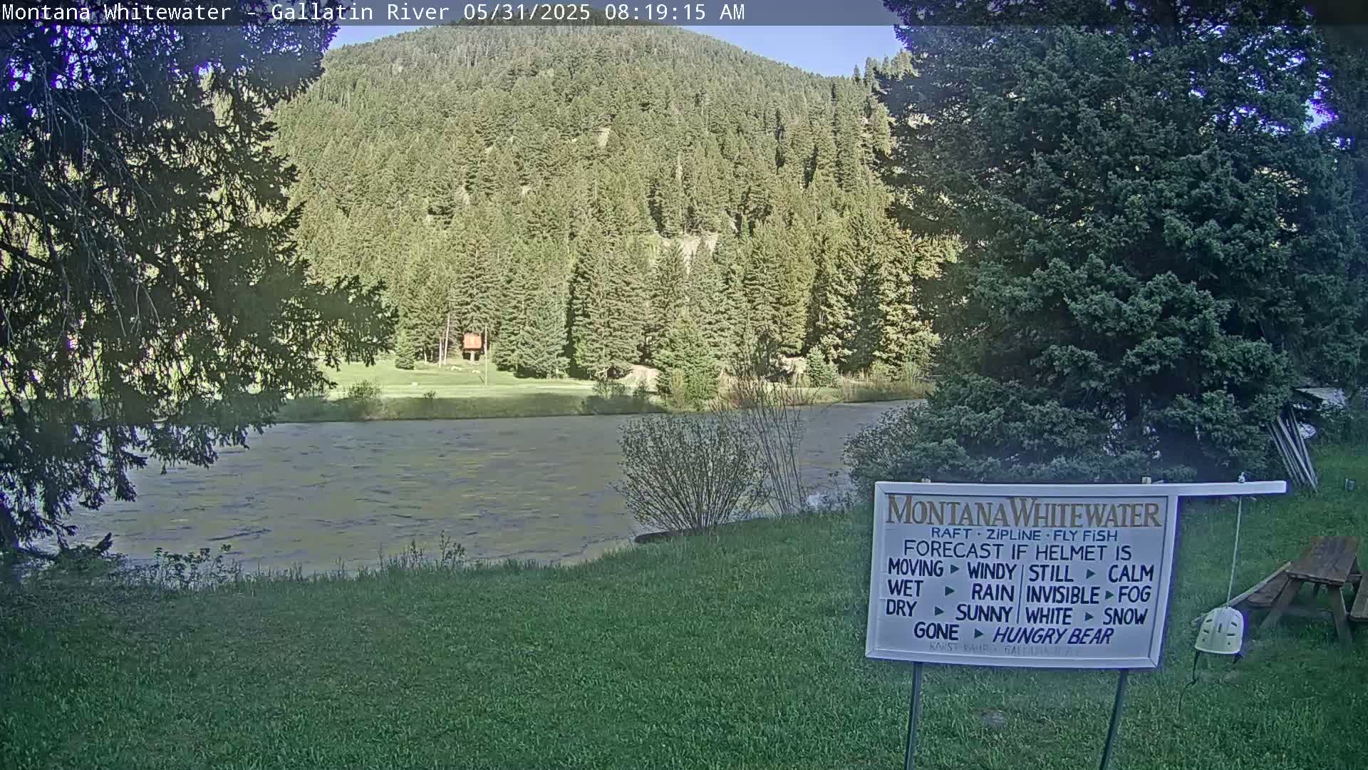 A calm river flows beneath a tree line of evergreen trees on a sunny morning.