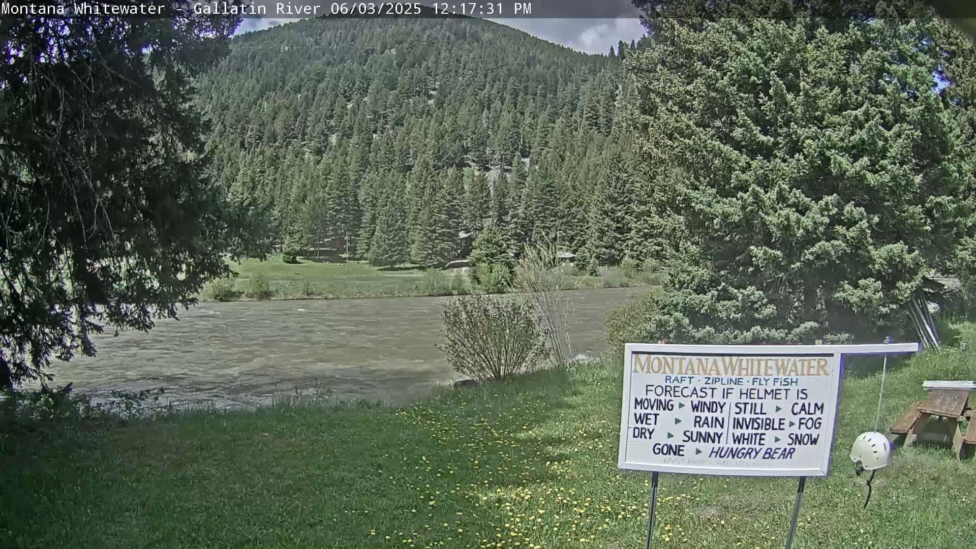 A partly cloudy day shows a river flowing calmly beside a grassy bank under a tree, with evergreen-covered hills in the background.