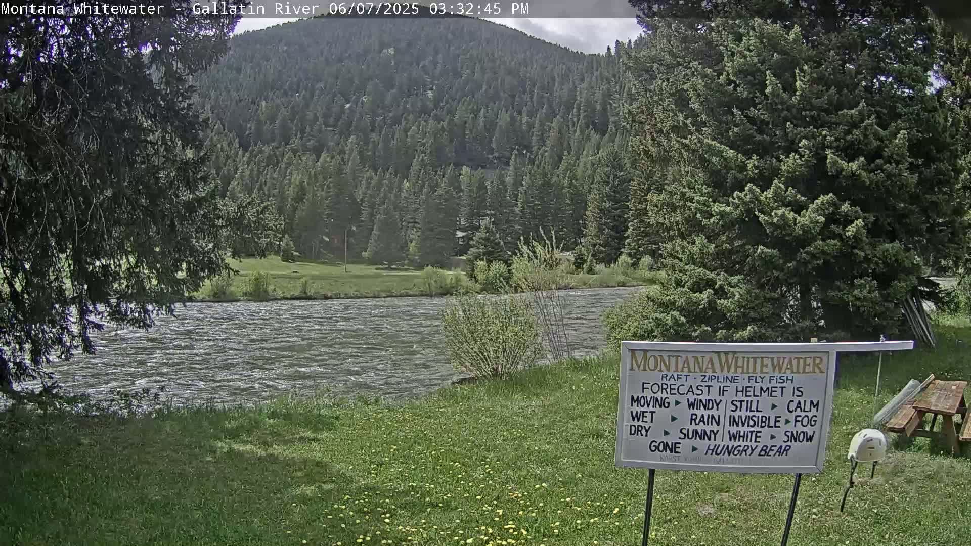 A fast-moving river flows beneath a partly cloudy sky, past a grassy bank and lush green forest.