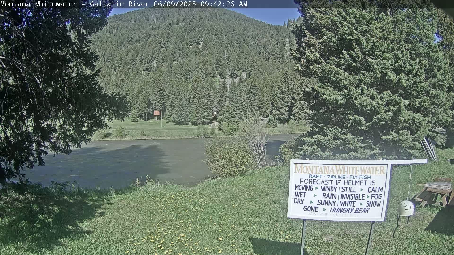 A calm river flows under a sunny sky past a grassy bank, with a lush green forest rising in the background.