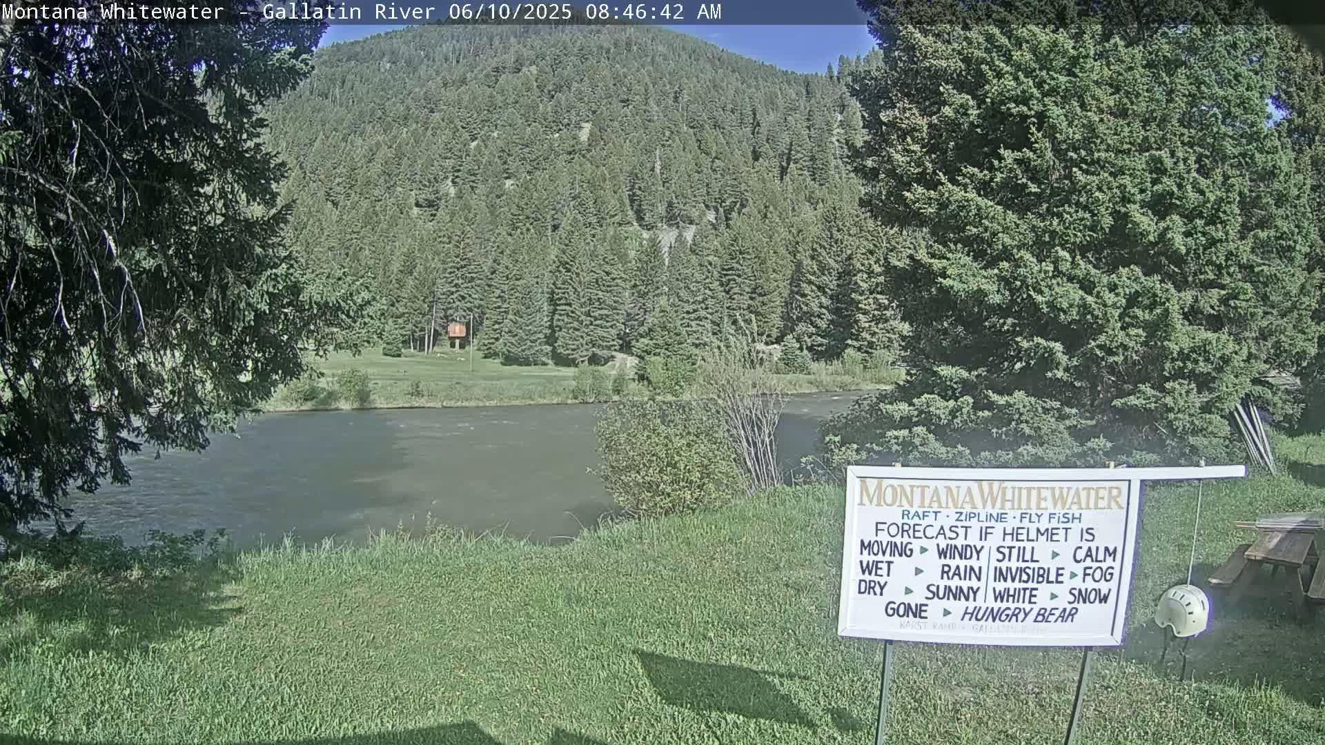 A calm river flows past a grassy area toward a lush green forest on a sunny morning.