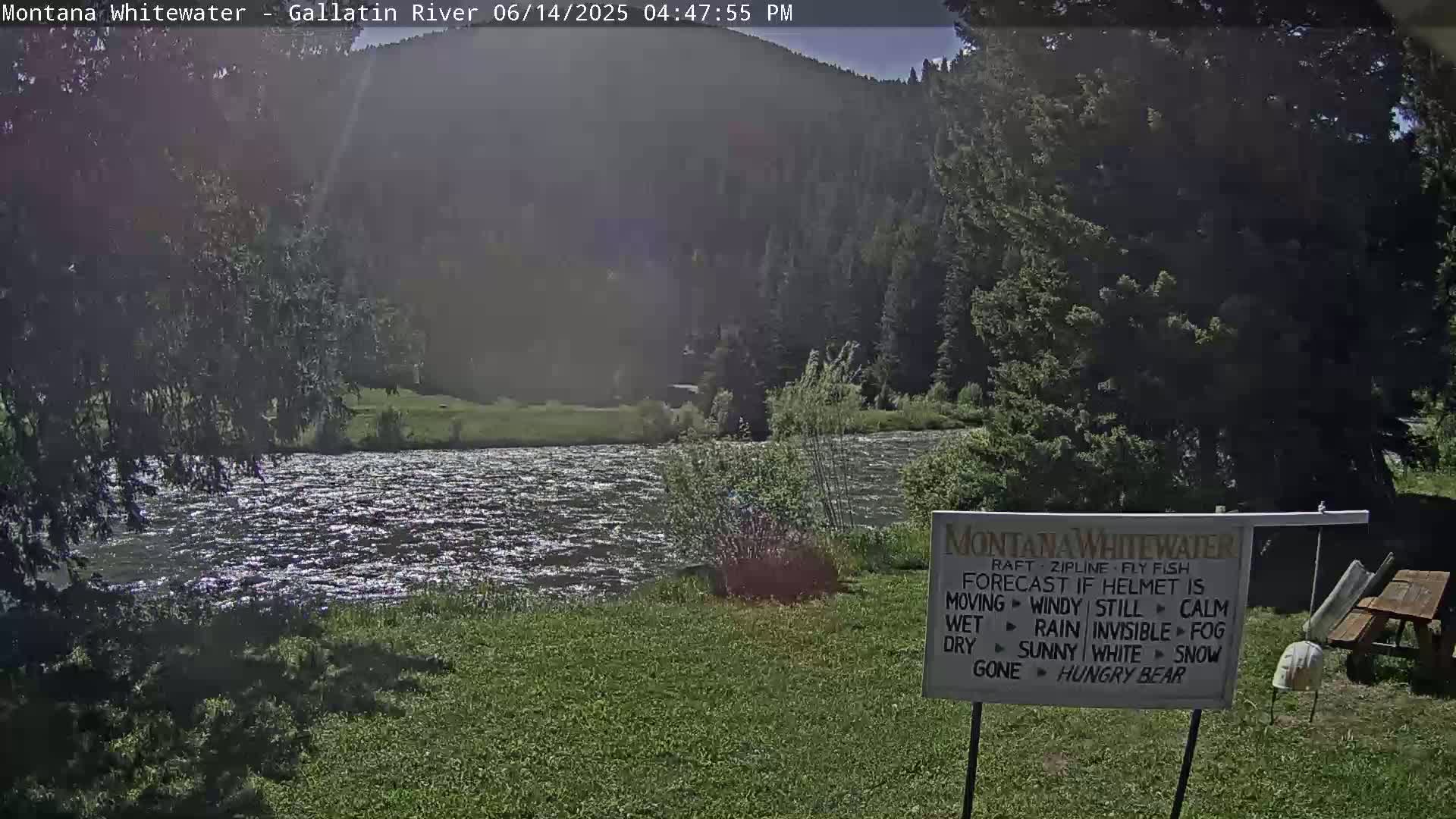 A calm river flows beneath a sunny sky past a lush green forest.