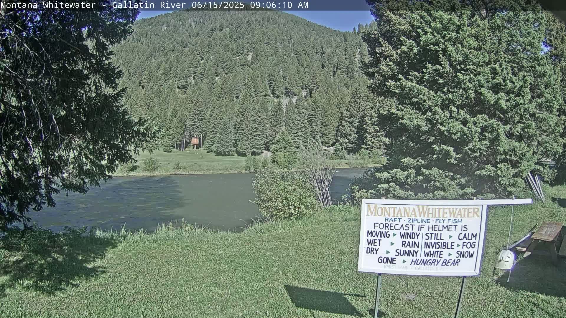 A calm river flows beneath a sunny sky past a grassy bank and a lush green forest.