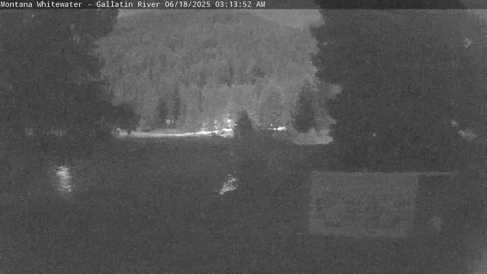 A nighttime, low-light image shows dark trees and a flat expanse of land, possibly near water.