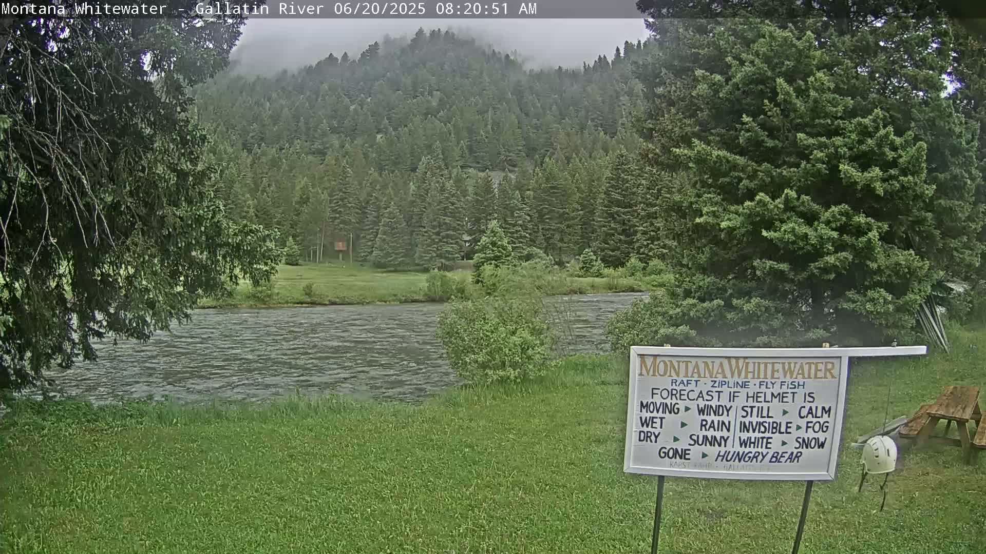 A calm river flows past a grassy bank, with a lush green forest visible in the background under an overcast sky.