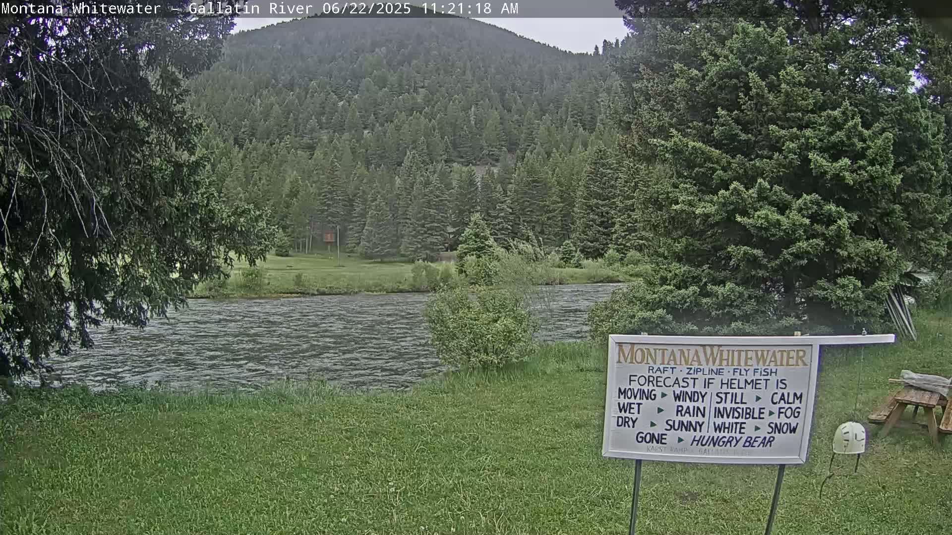 A river flows gently past a grassy bank, bordered by lush green trees and a forested hillside under an overcast sky.