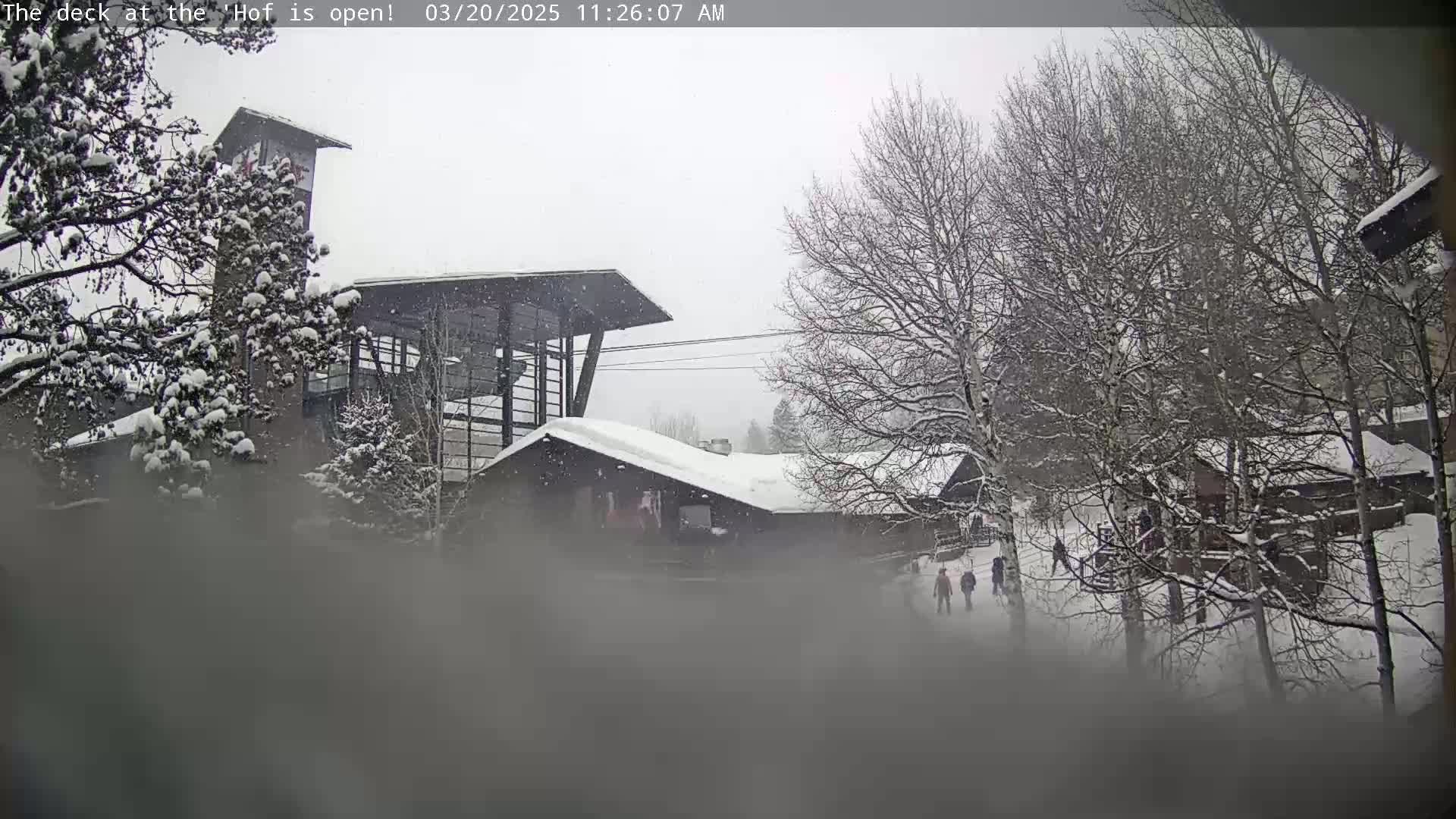 Snow falls on a snow-covered complex of buildings and trees.