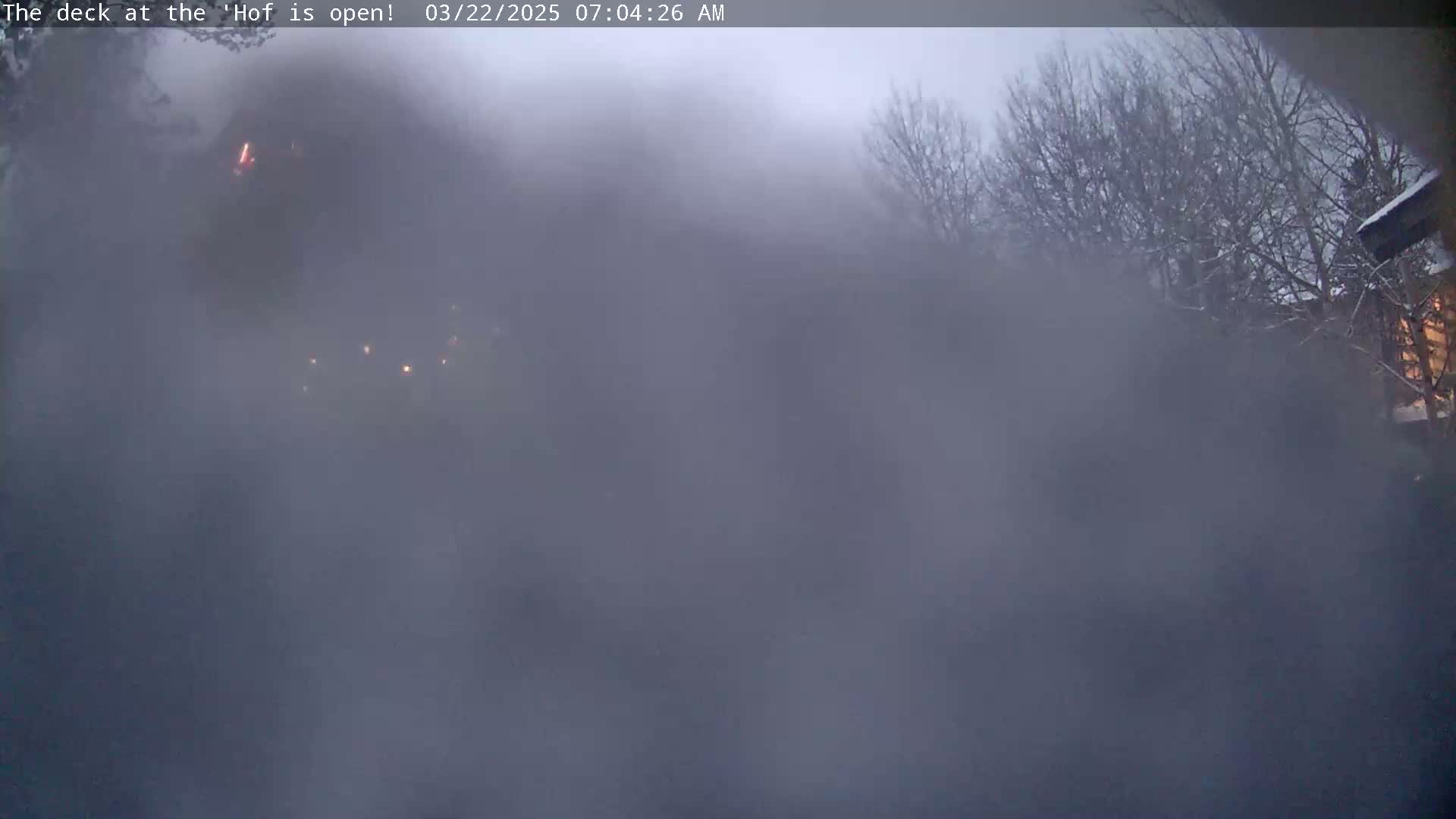 A foggy, dark outdoor scene shows bare trees and a structure partially obscured by the fog.