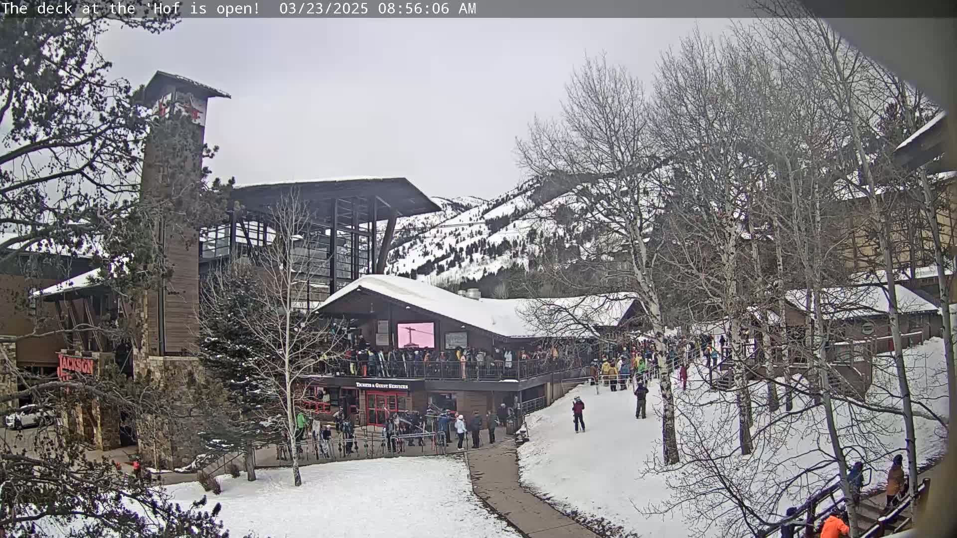A snow-covered outdoor area with a multi-story building, numerous people, and bare trees under an overcast sky.
