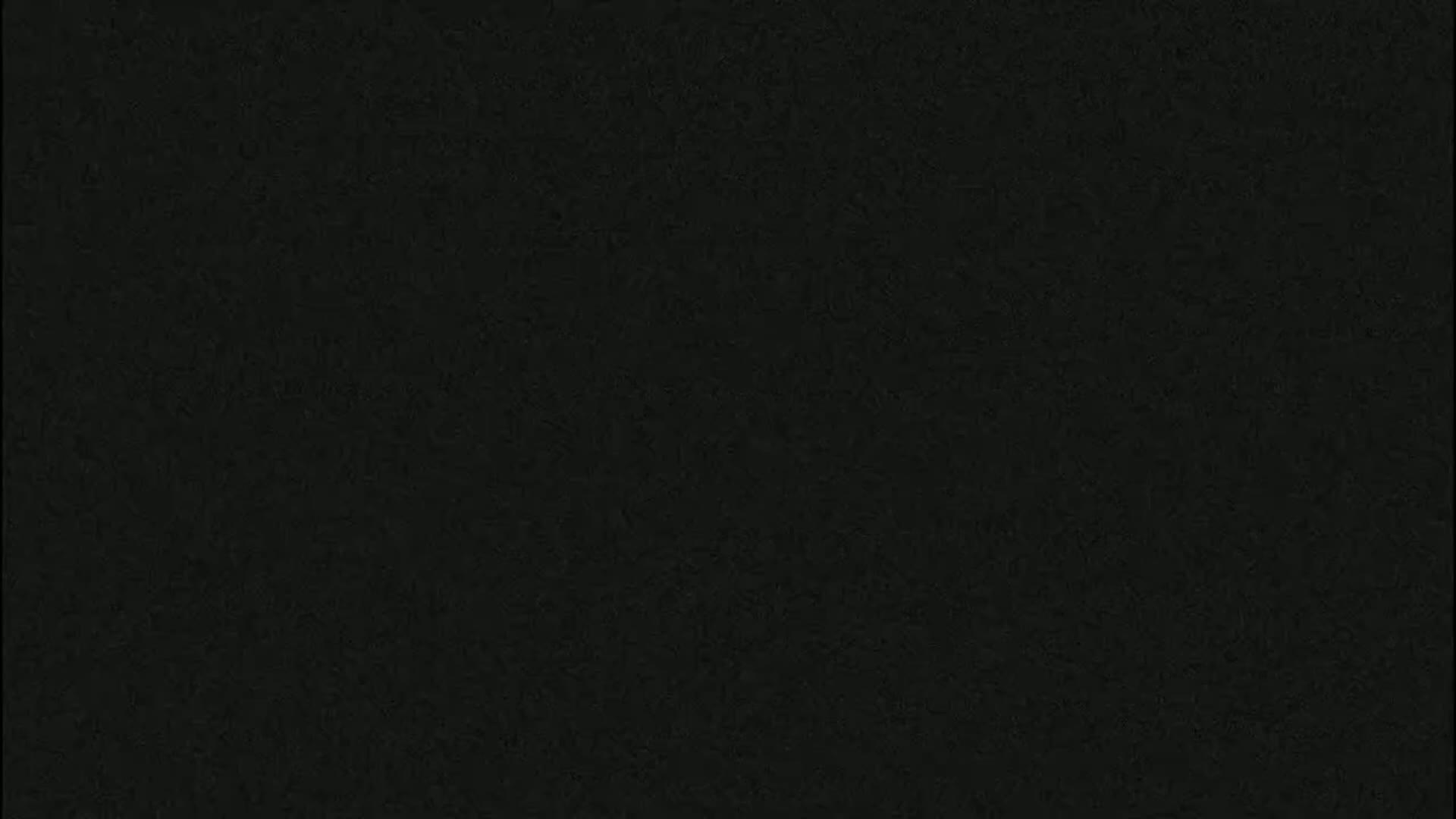 The image shows a dark, textured surface.