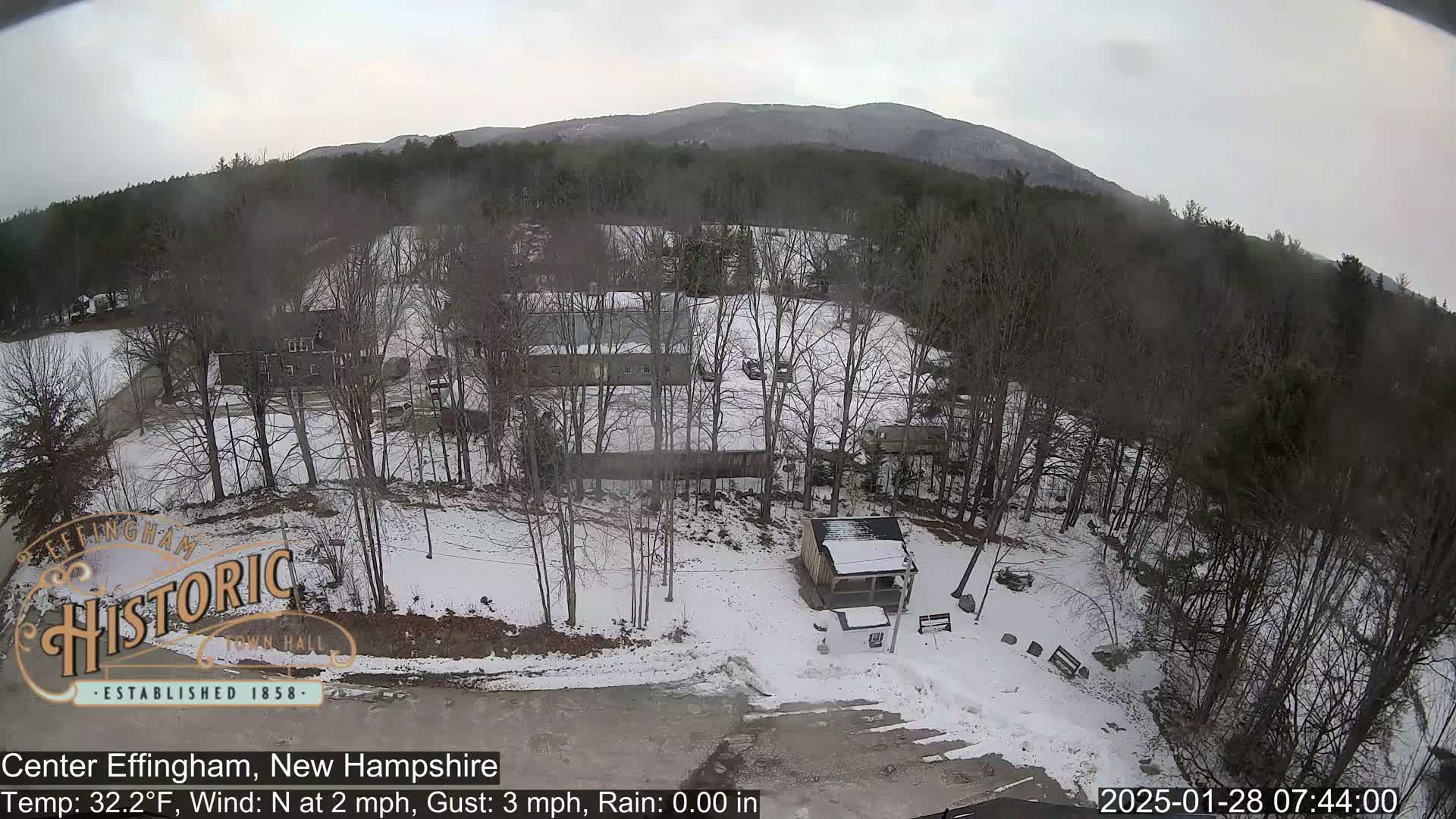 A snowy, lightly wooded area with several buildings and a small shed, under an overcast sky.