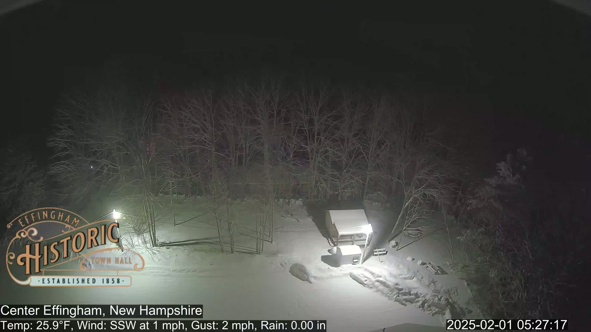 A snow-covered yard at night, illuminated by a lamppost, is surrounded by bare trees under a dark sky.