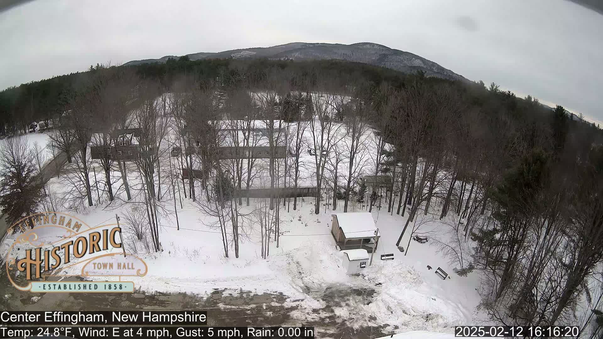 A snow-covered landscape with leafless trees and a small building, under overcast skies and light easterly winds.