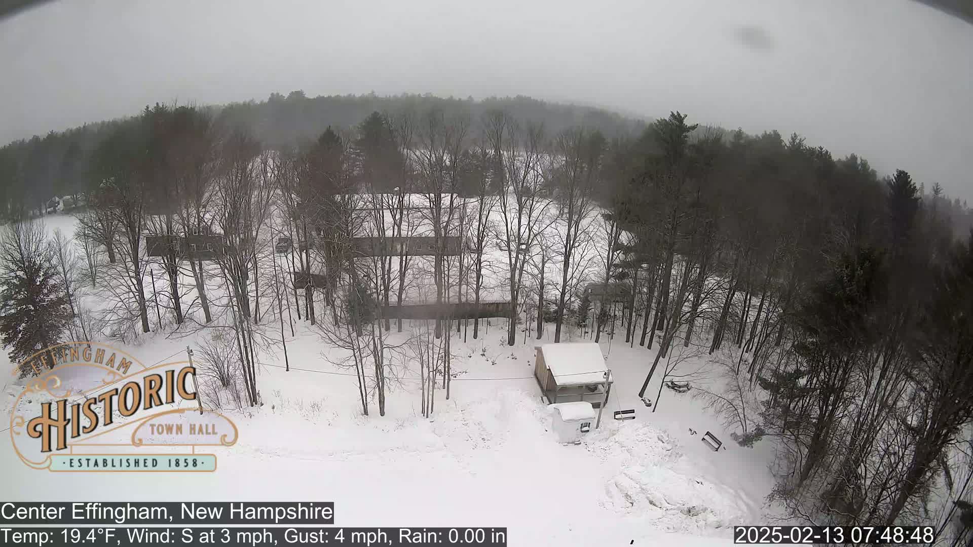 A snow-covered landscape with bare trees and a small building, under an overcast sky with light snow falling.