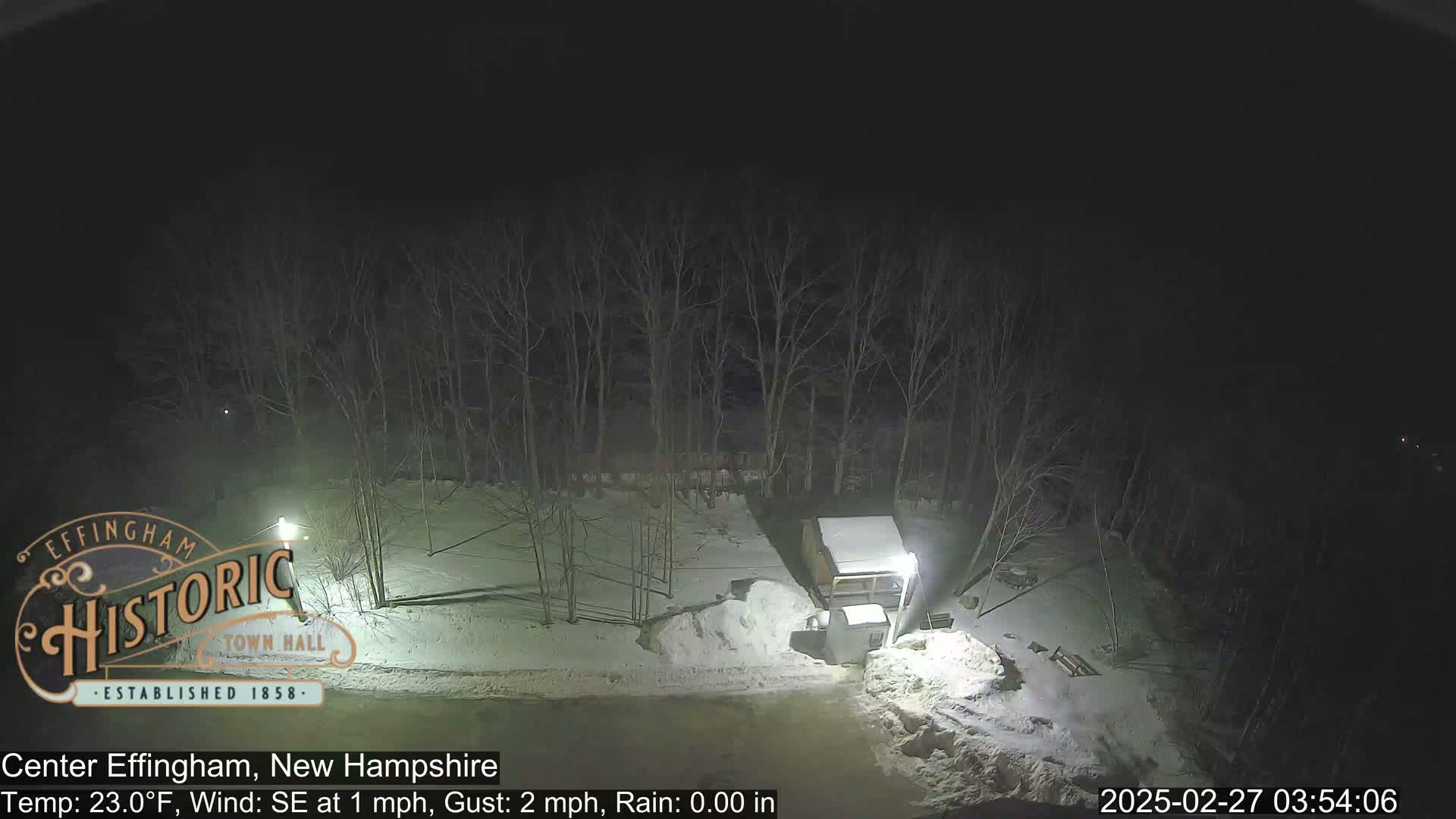 A nighttime, snowy scene shows bare trees and a small structure in a yard, lit by a lamppost.