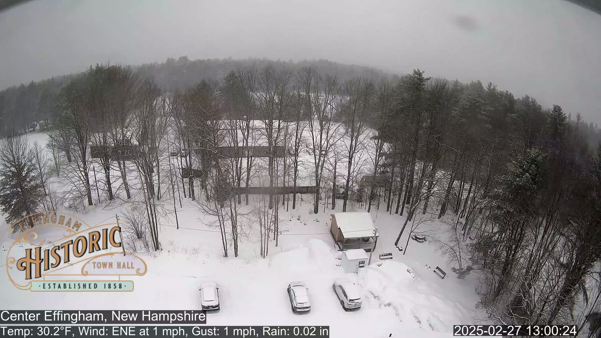 A snow-covered landscape with bare trees and several parked cars is visible under a cloudy sky with light snow falling.