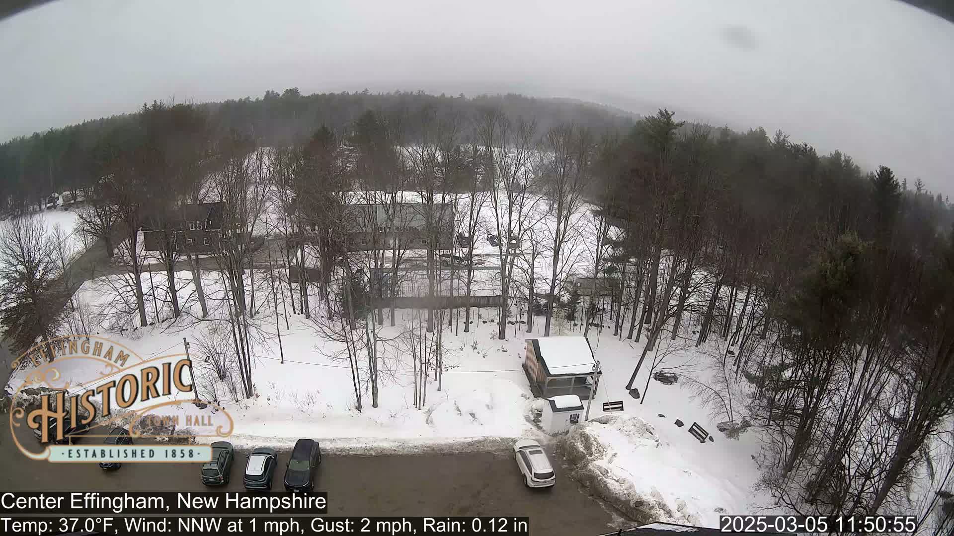 A snowy parking lot with several cars and buildings surrounded by leafless trees under an overcast sky.