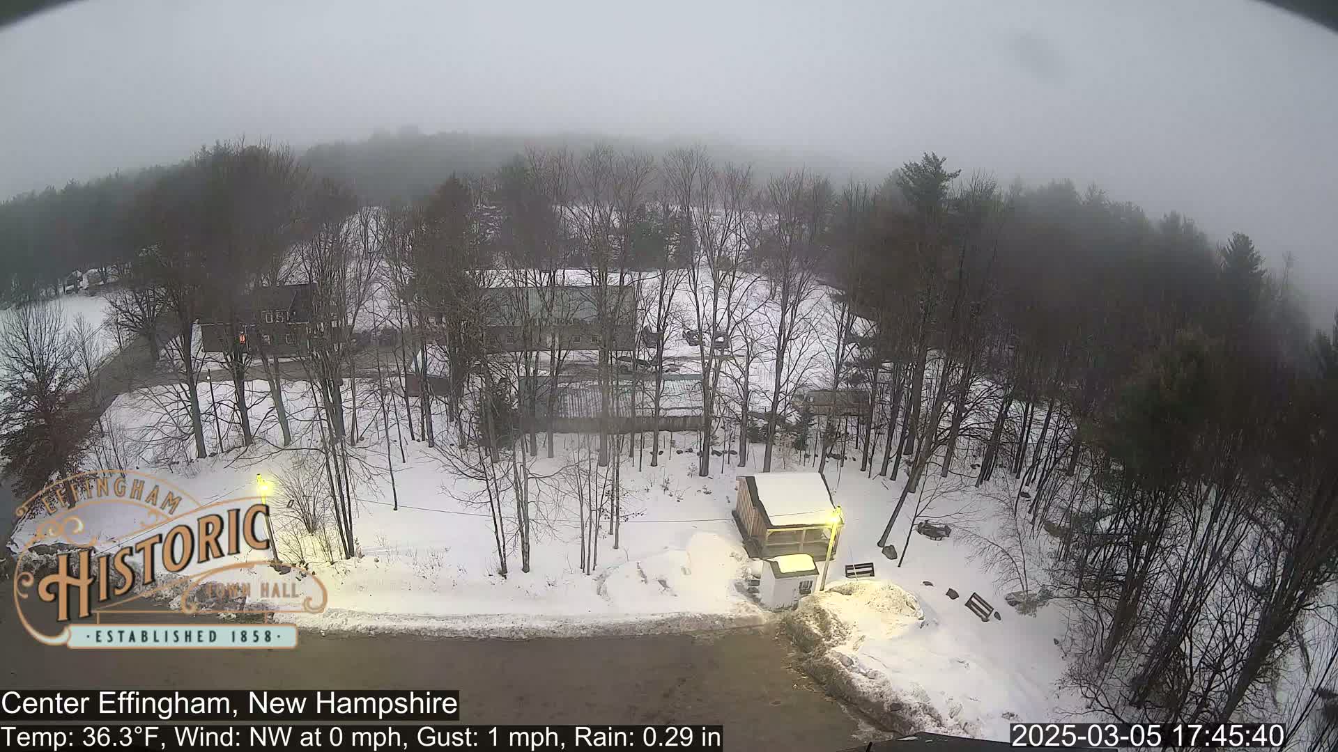 A snow-covered landscape with bare trees and buildings under a foggy, rainy sky.