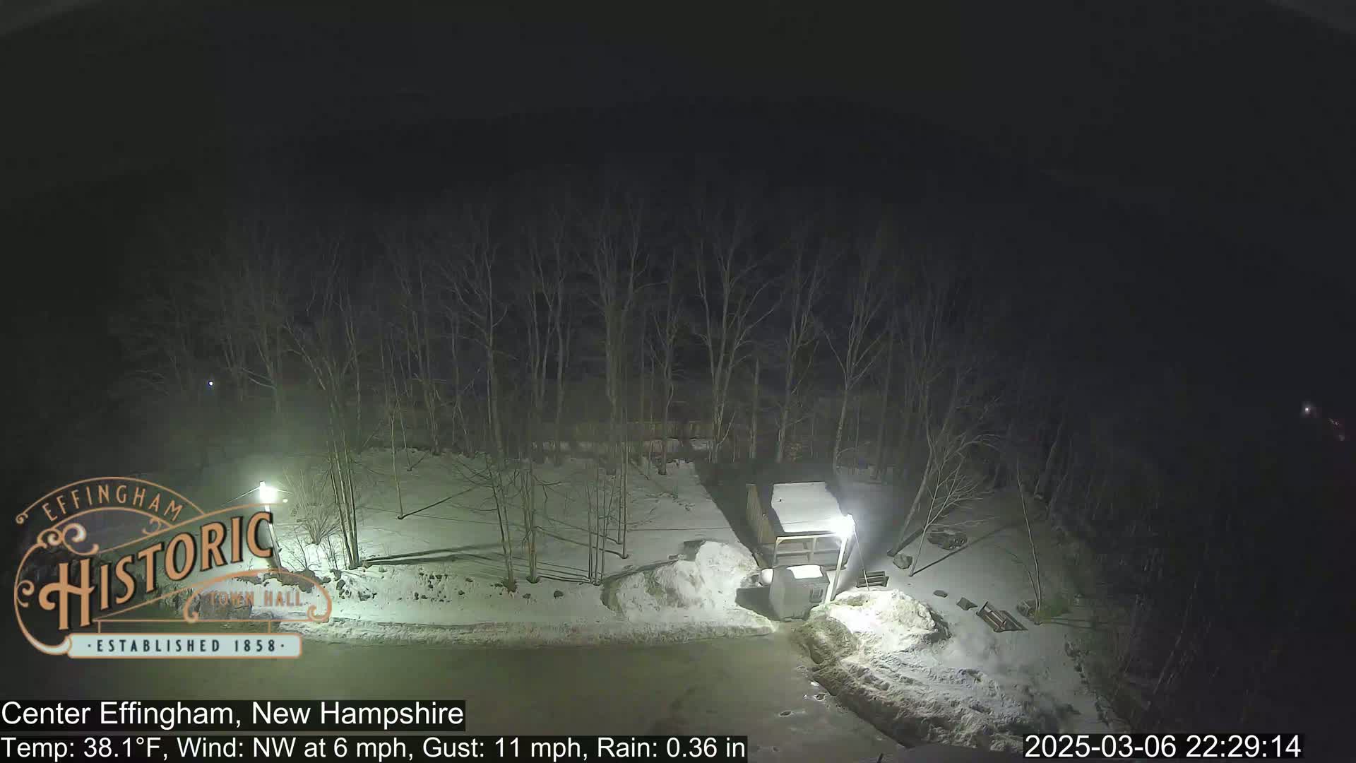 A nighttime view of a snow-covered area with bare trees under rainy conditions.
