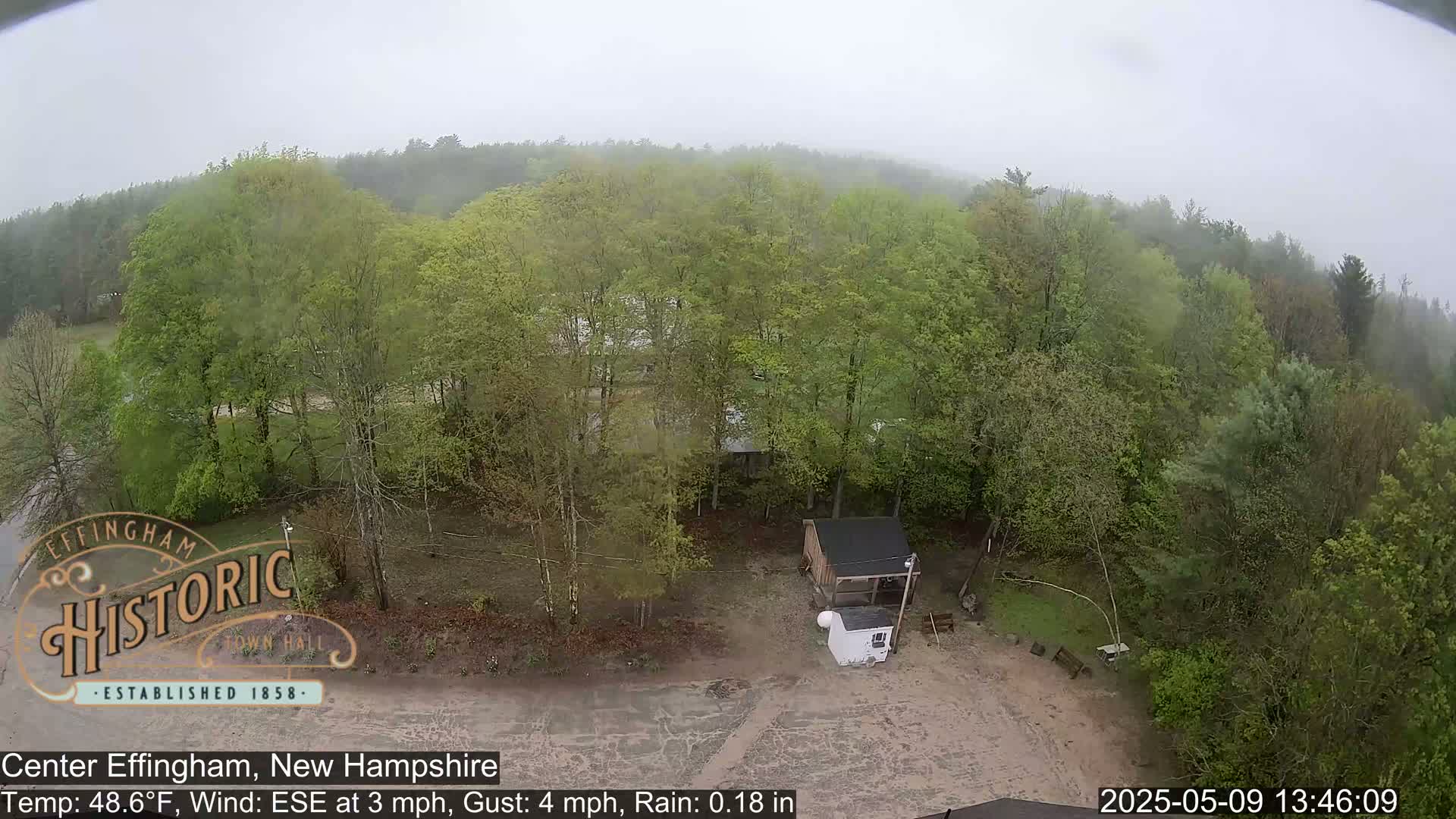 A rain-misted view shows a small shed and a mostly clear dirt area surrounded by lush green deciduous trees.
