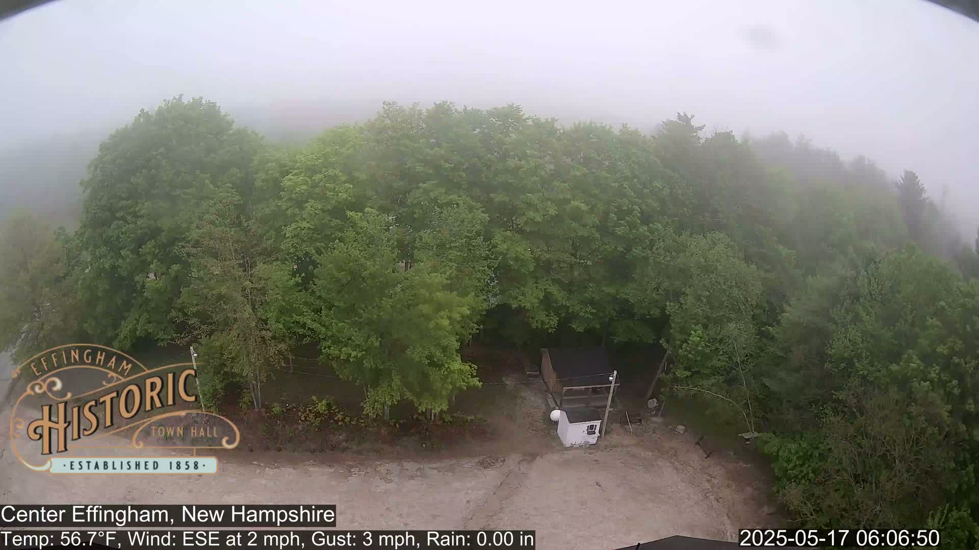 A foggy view shows a small structure beside a dirt area surrounded by lush green trees.