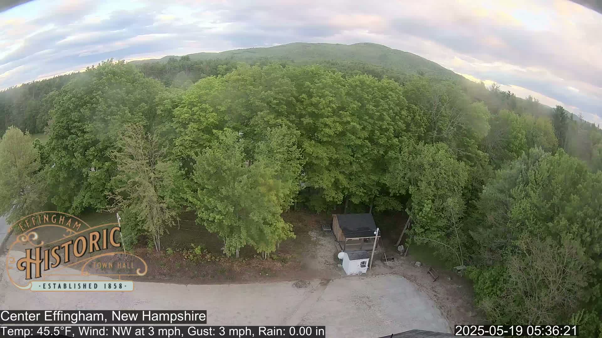 An elevated view shows a small shed and surrounding lush green trees under an overcast sky.
