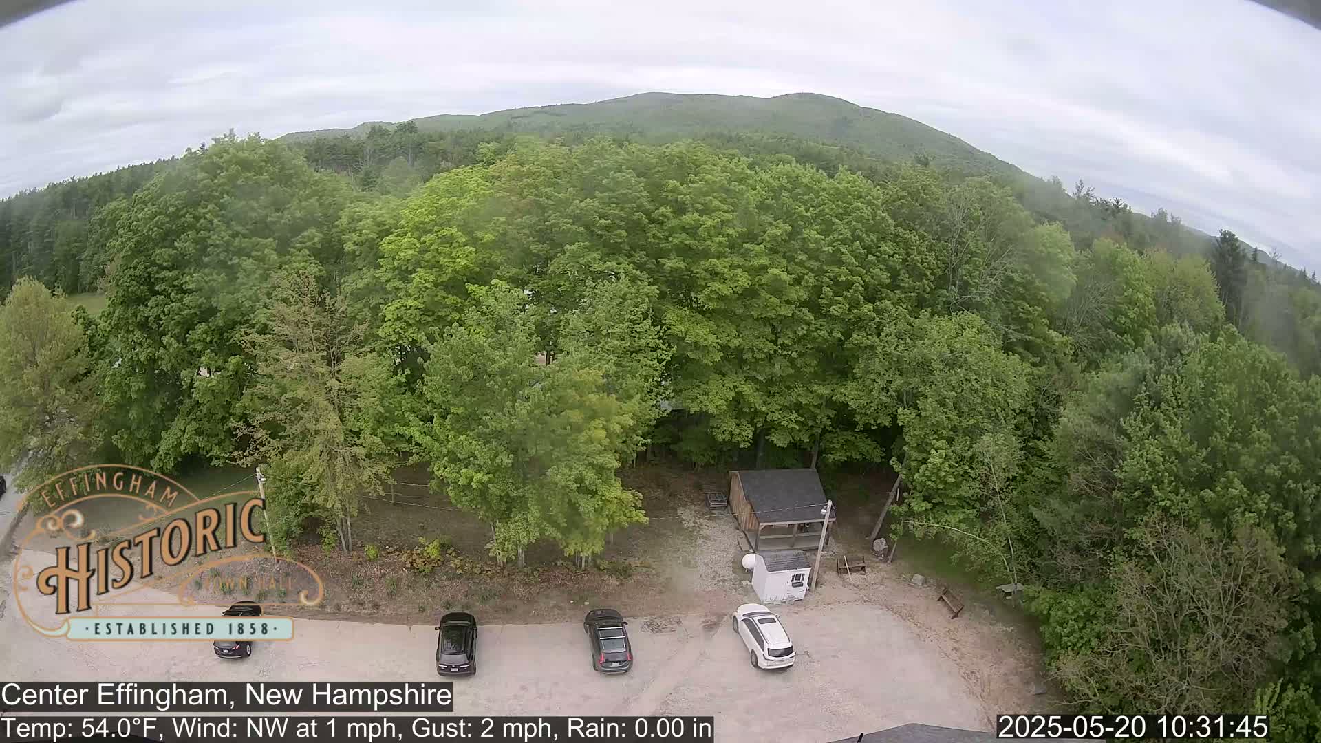 A high-angle view shows a parking lot with several cars surrounded by lush green trees and a small shed, under an overcast sky.