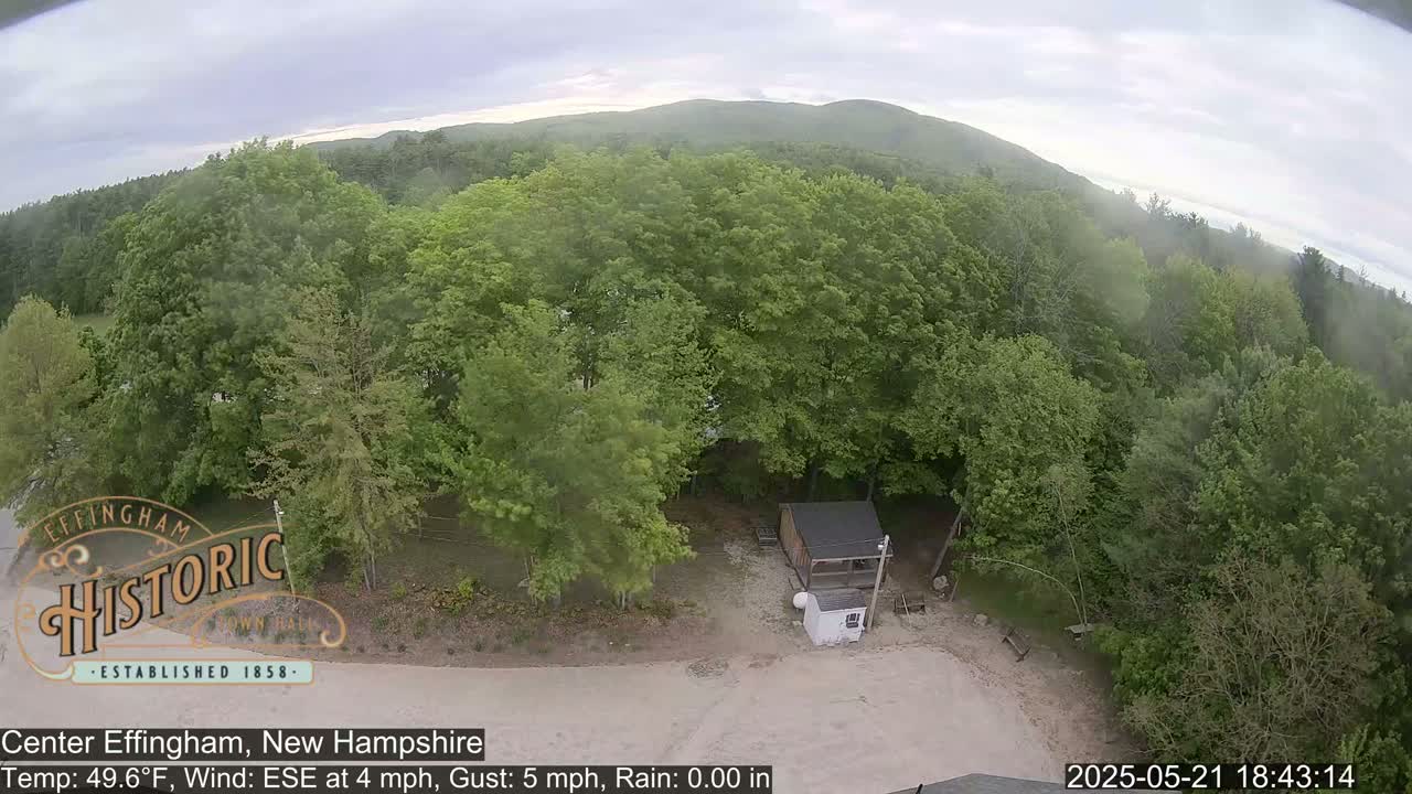 An aerial view shows a small structure in a clearing surrounded by lush green deciduous trees under overcast skies.