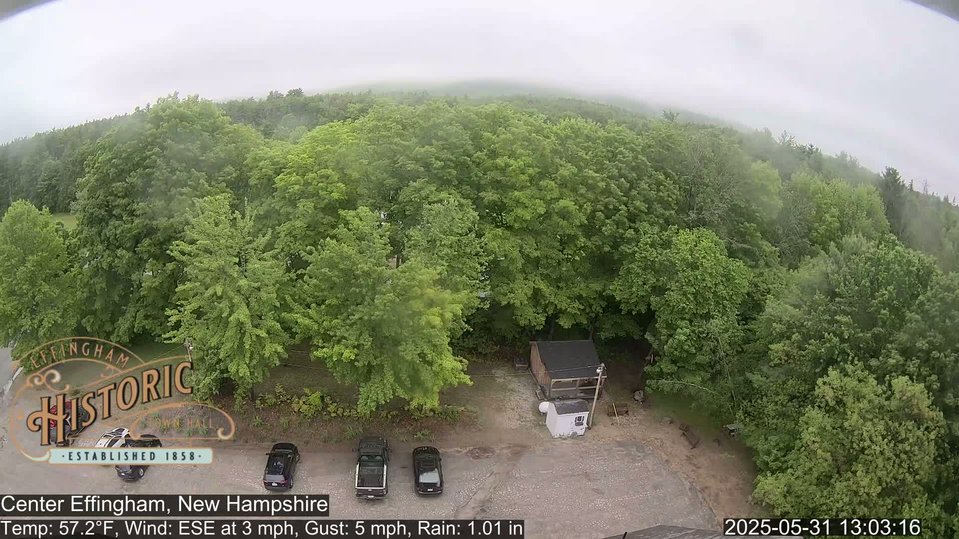 An aerial view shows a parking lot with a few cars next to a small shed and a lush green forest under a foggy, rainy sky.
