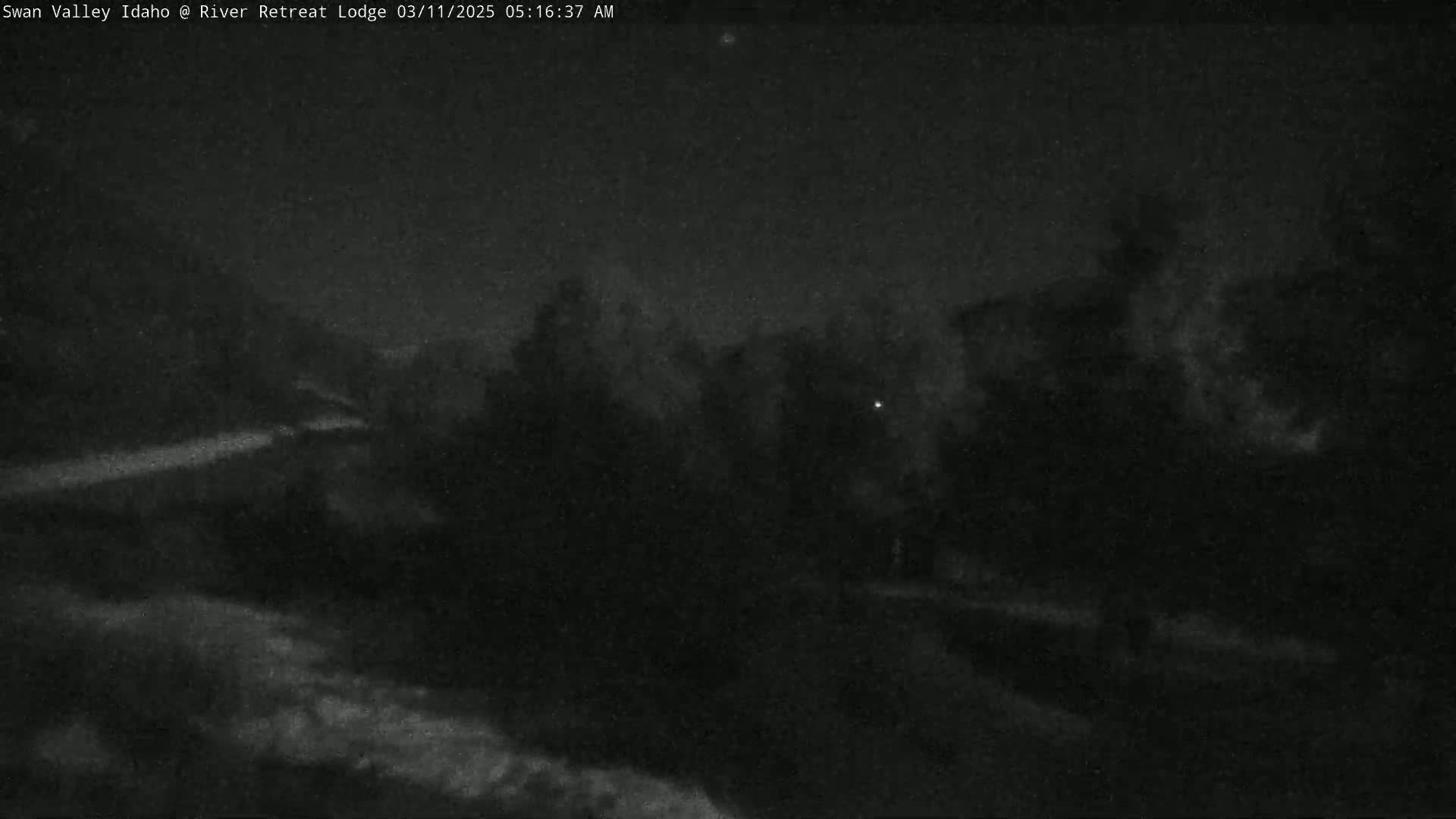 A nighttime, low-light view of a dark landscape with trees and a road under a mostly clear sky.