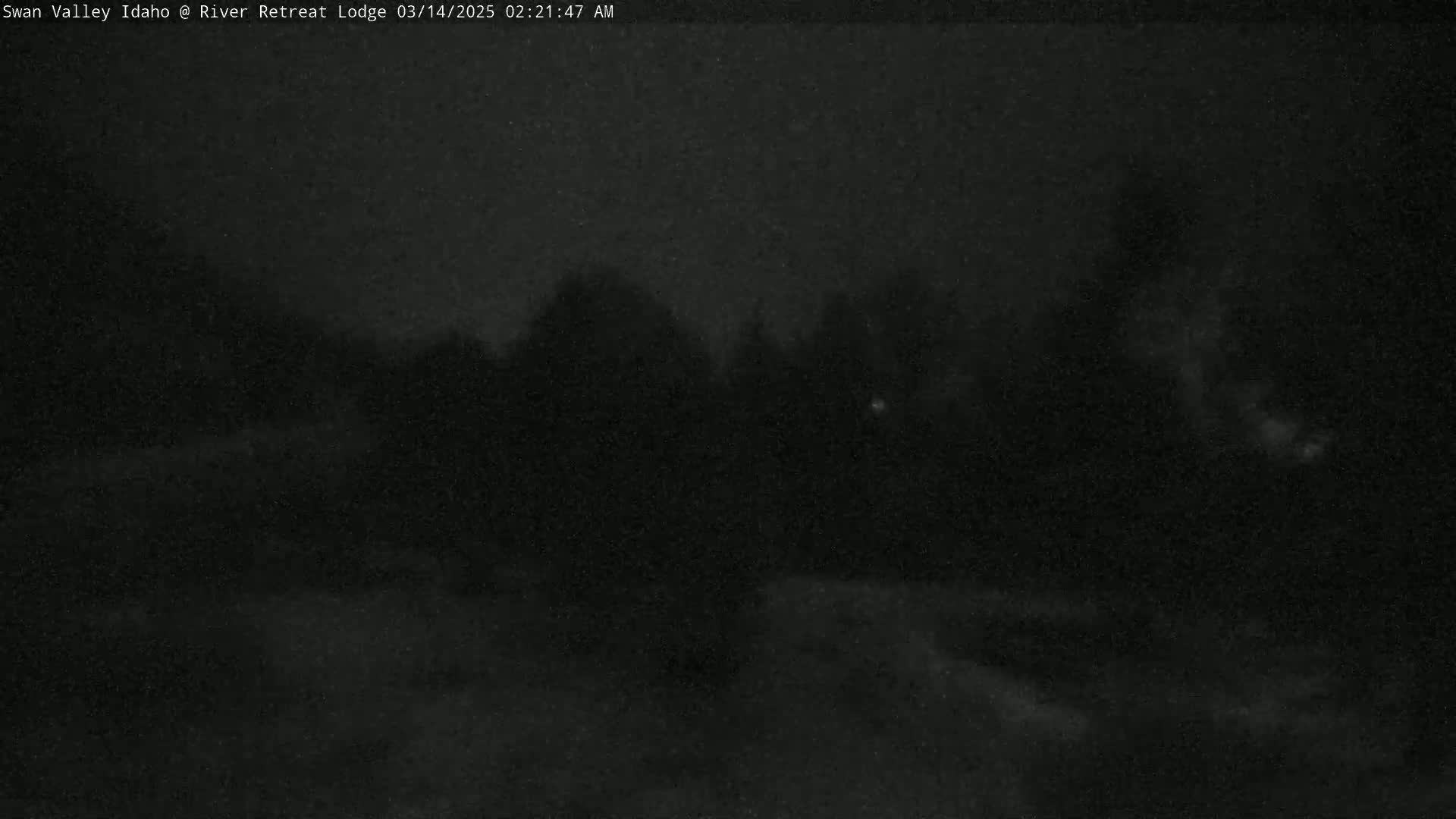A dark, nighttime scene shows a mostly obscured landscape with a few trees and a hint of ground cover under a dark sky.