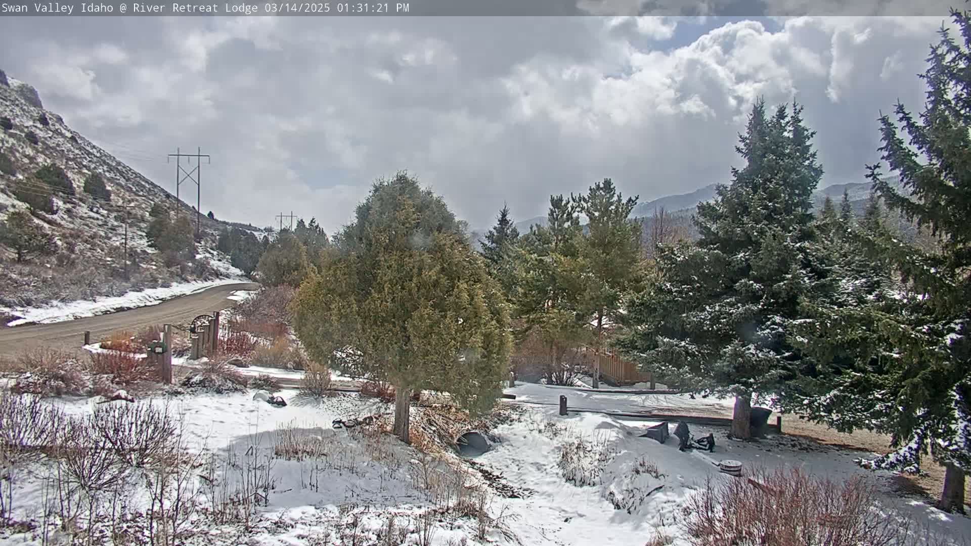 A snow-covered landscape with evergreen trees, a dirt road, and a partially cloudy sky.