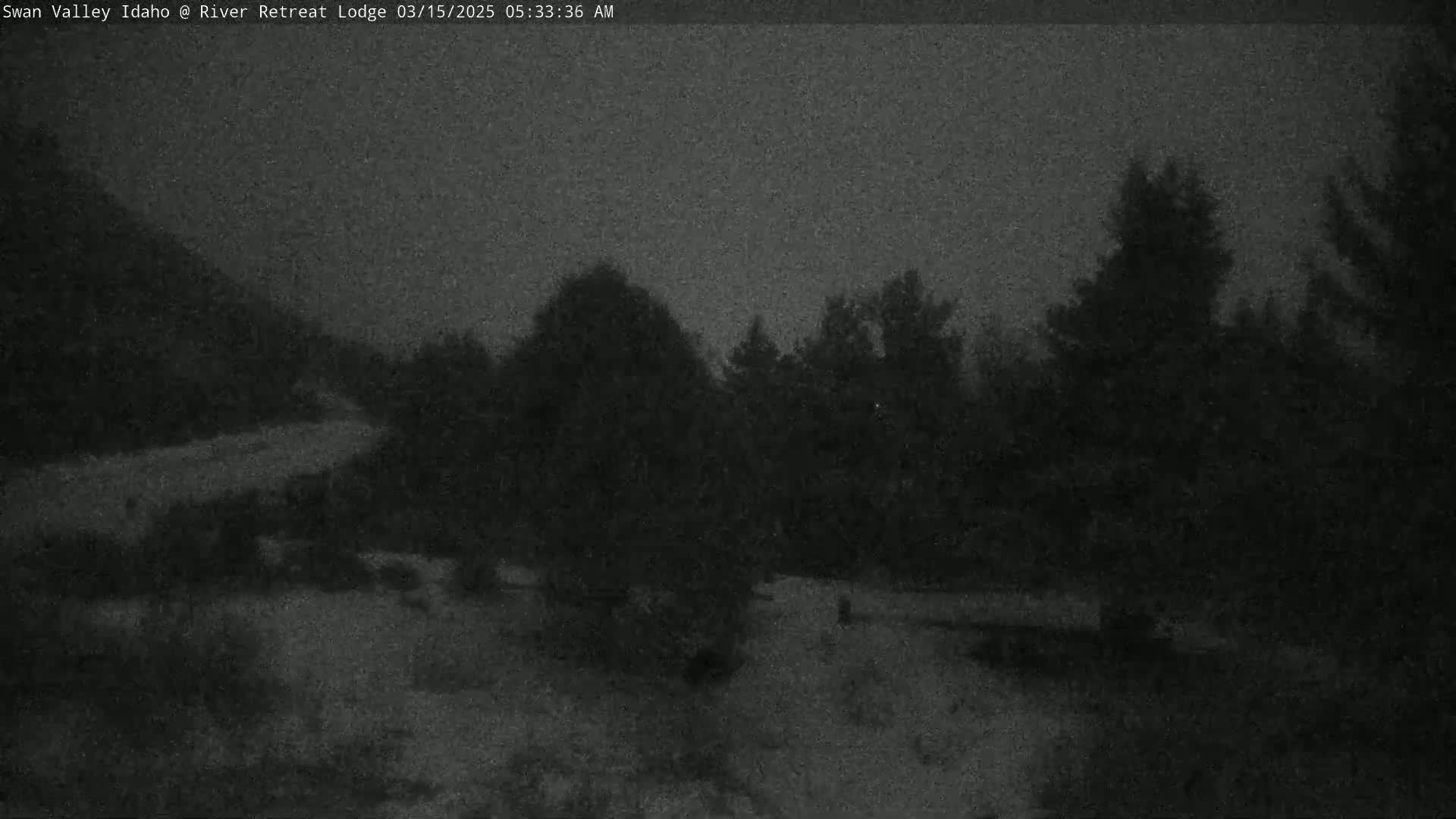 A low-light nighttime image shows a dark, snow-covered ground with a line of dark trees in the background under a gray sky.