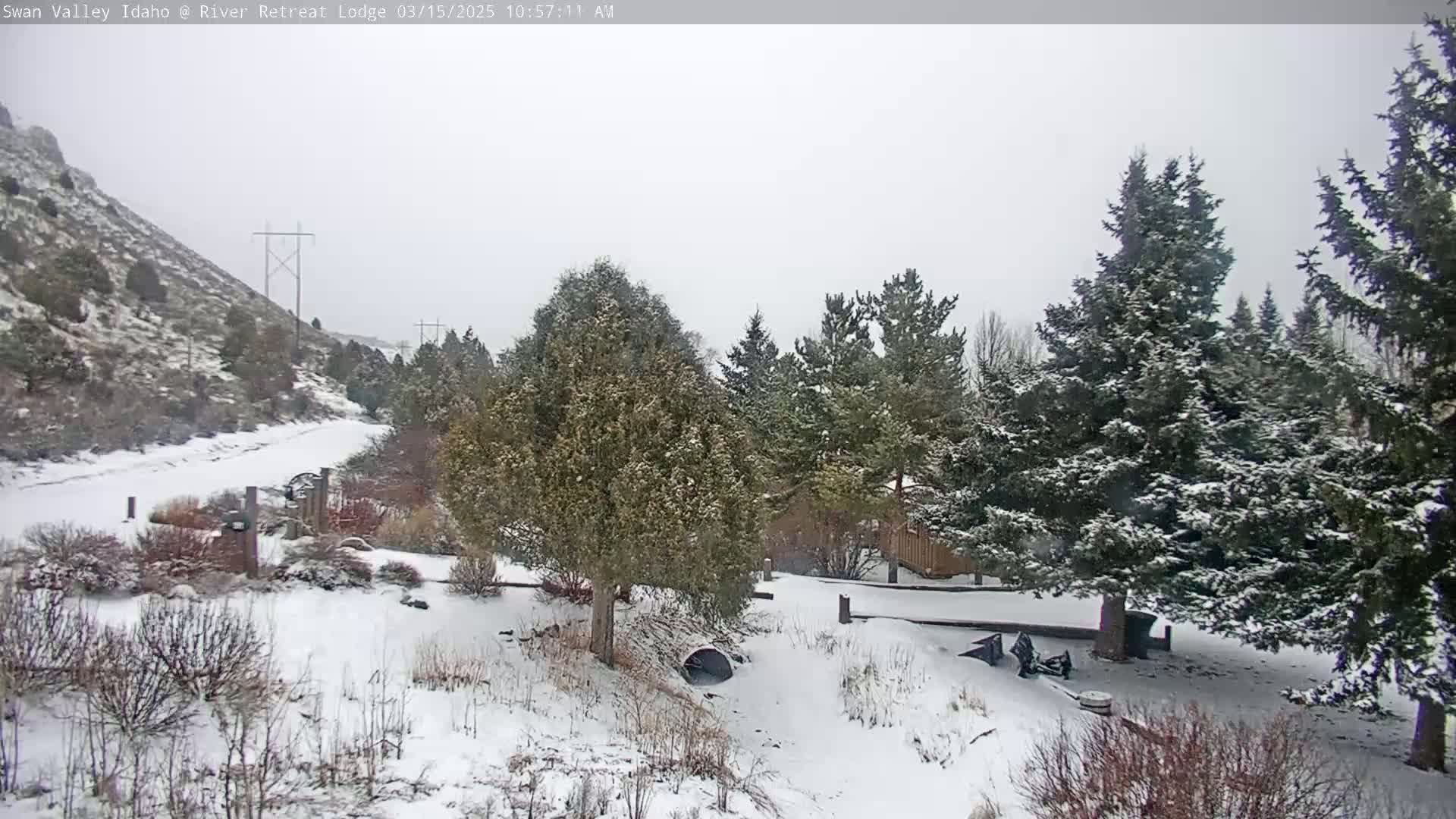 A snow-covered landscape with evergreen trees and a hill in the background under an overcast sky.