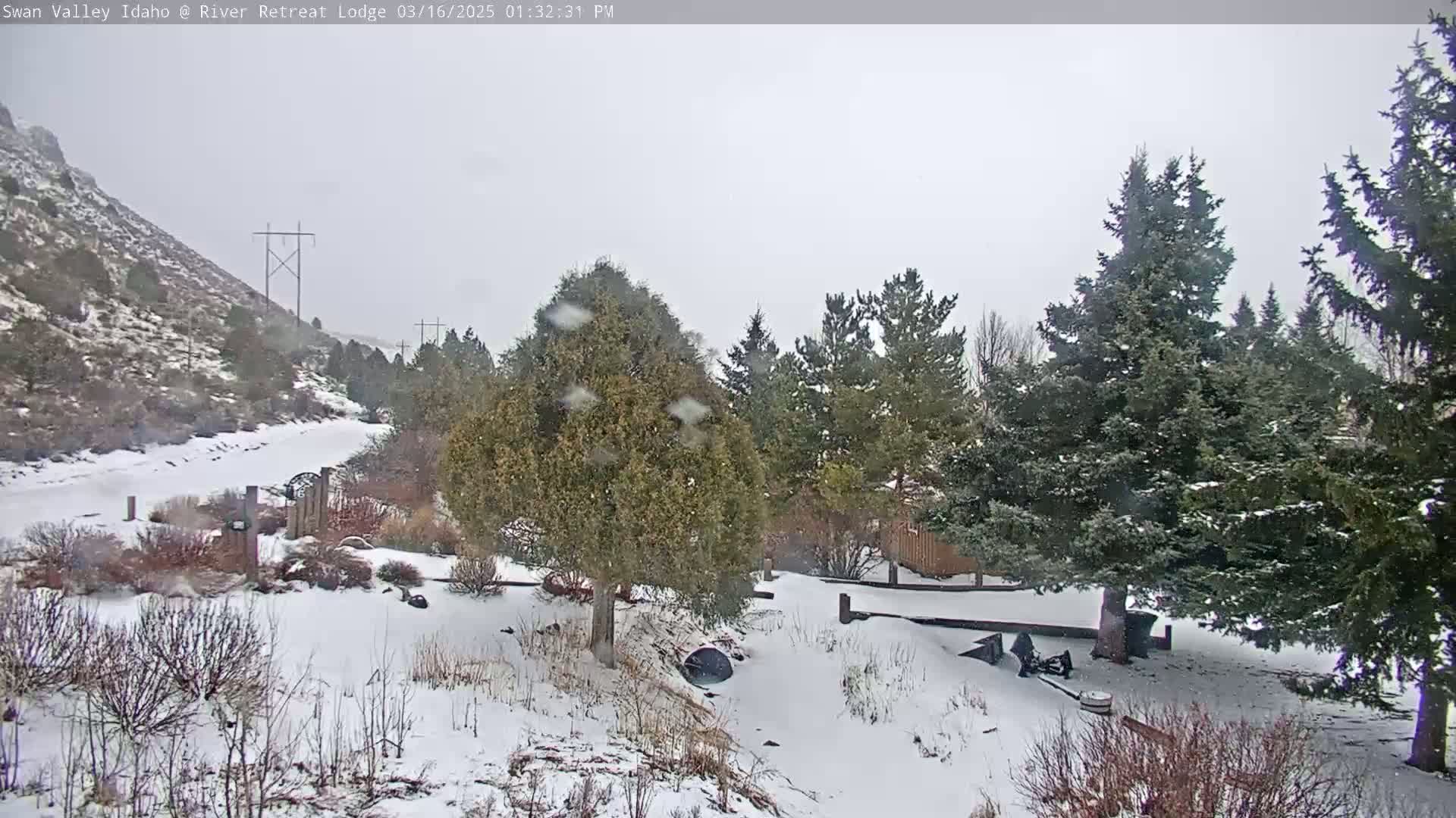 A snow-covered landscape with evergreen trees, a hillside, and a wooden fence is visible during a light snowfall.
