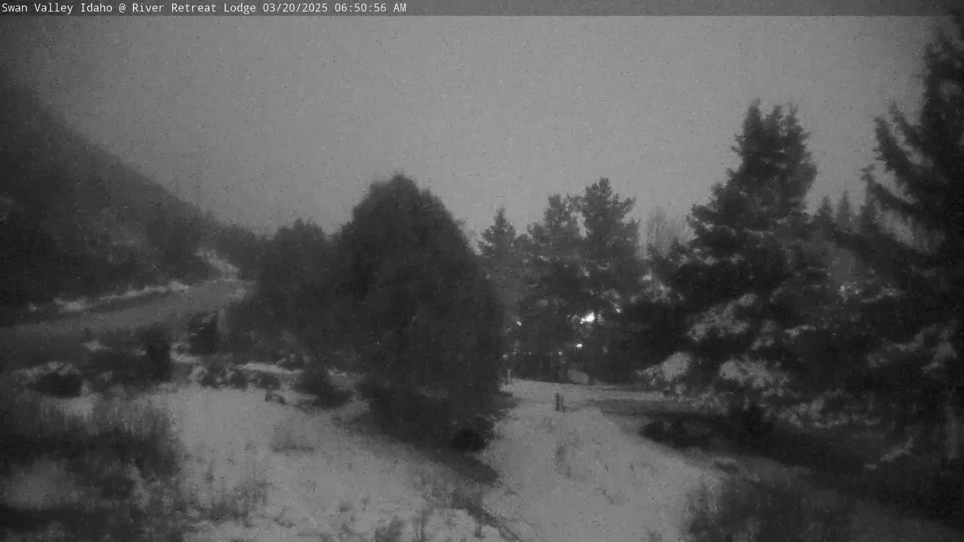 A snow-covered landscape with dark evergreen trees under a gray, overcast sky.