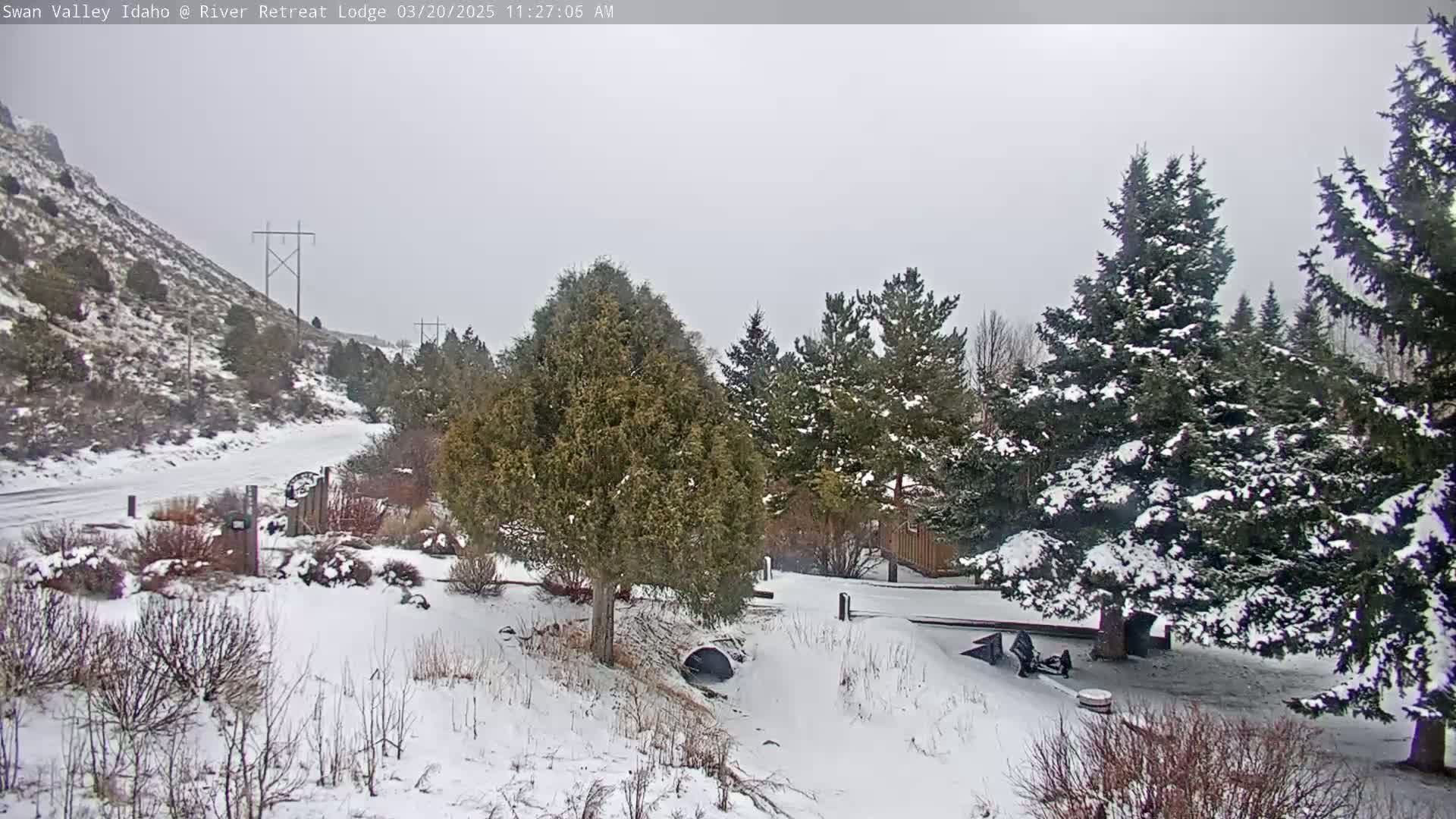 A snow-covered landscape with evergreen trees and a snow-dusted hillside under an overcast sky.