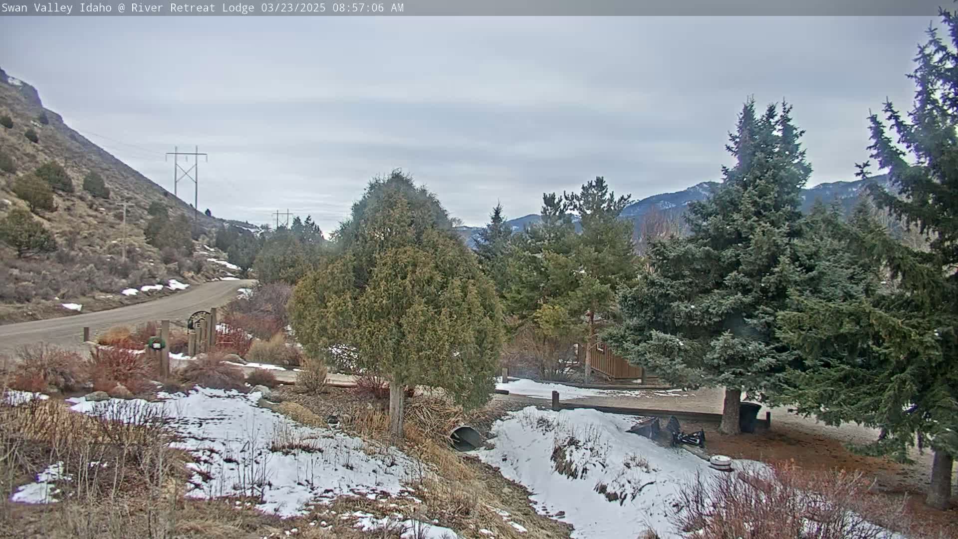 A snow-dusted landscape featuring evergreen trees, a paved road winding through a hillside, and overcast skies.