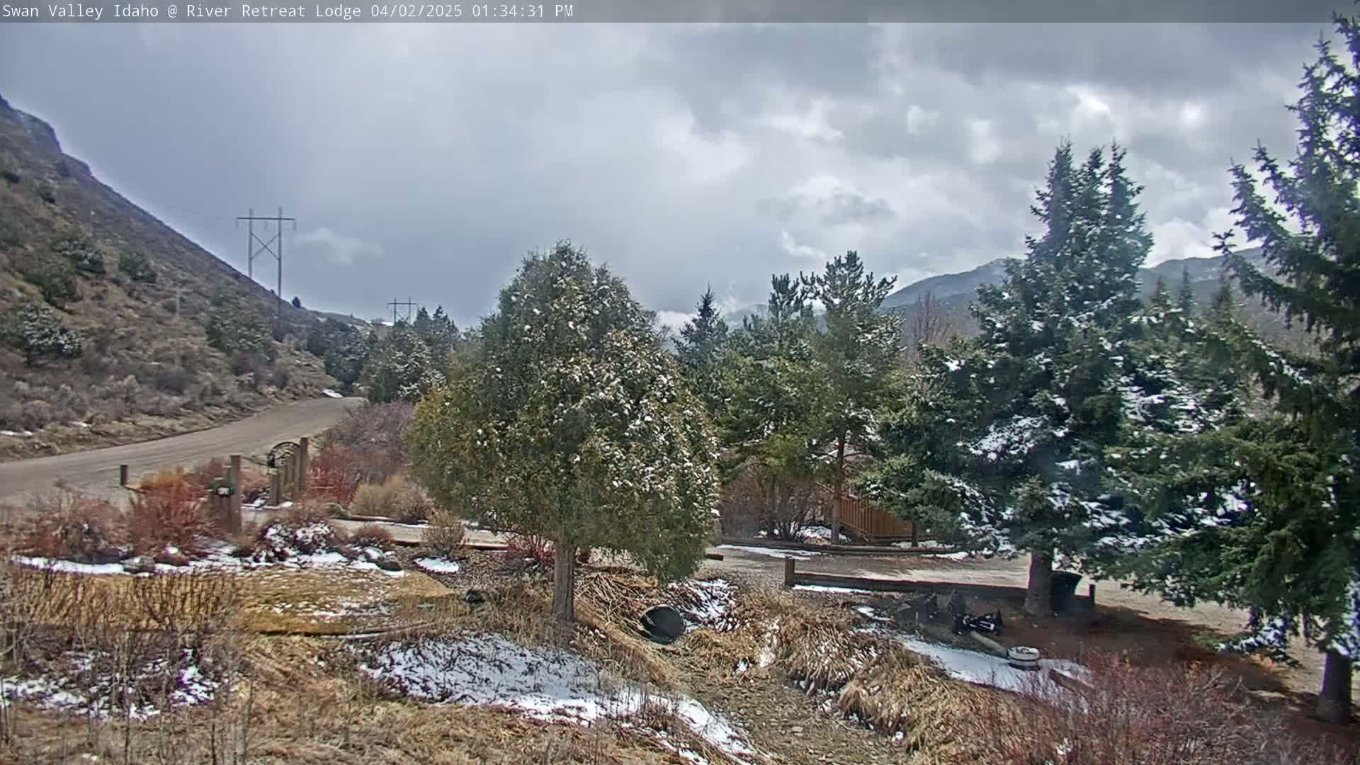 A snow-dusted landscape with evergreen trees, a gravel road, and a hillside under a cloudy sky.