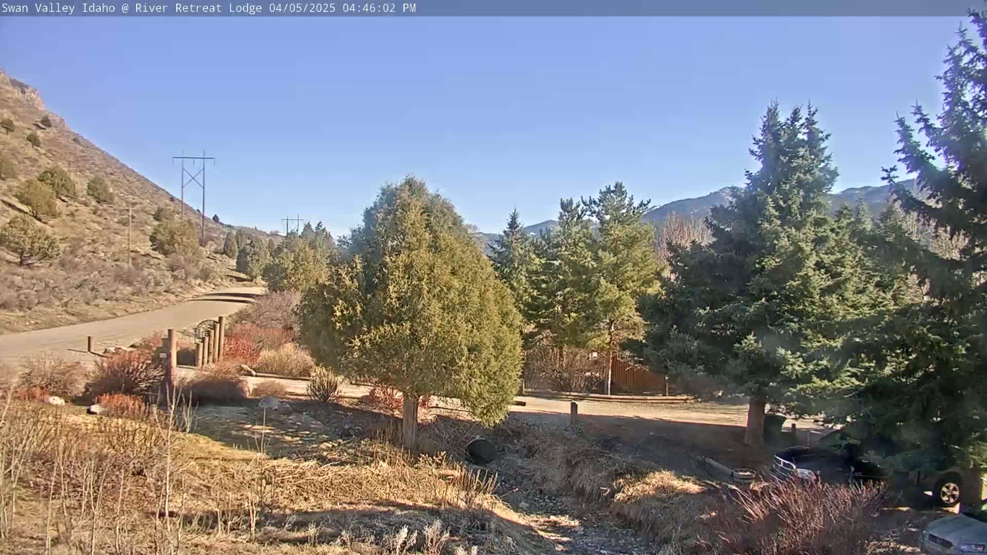 A paved road winds through a dry, sparsely vegetated hillside toward evergreen trees and mountains under a clear blue sky.