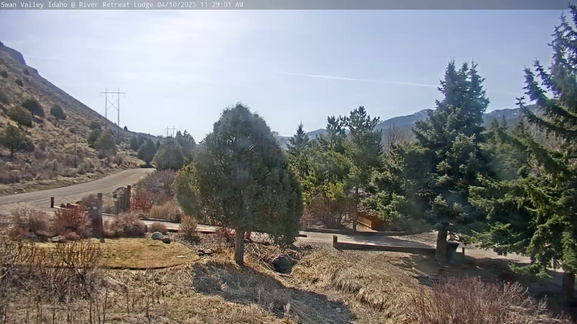 A gravel road winds through a landscape of dry, brown grass, evergreen trees, and a rocky hillside under a clear, sunny sky.