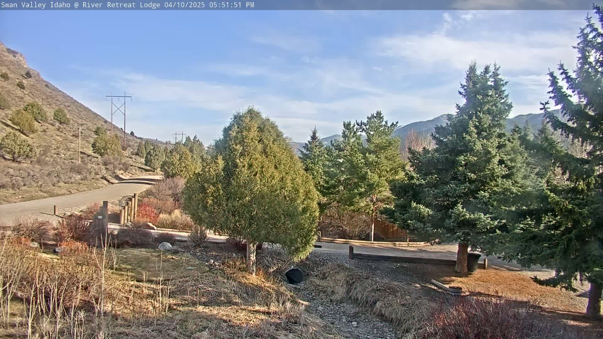 A paved road winds through a landscape of scrubby vegetation and evergreen trees under a mostly clear, sunny sky.