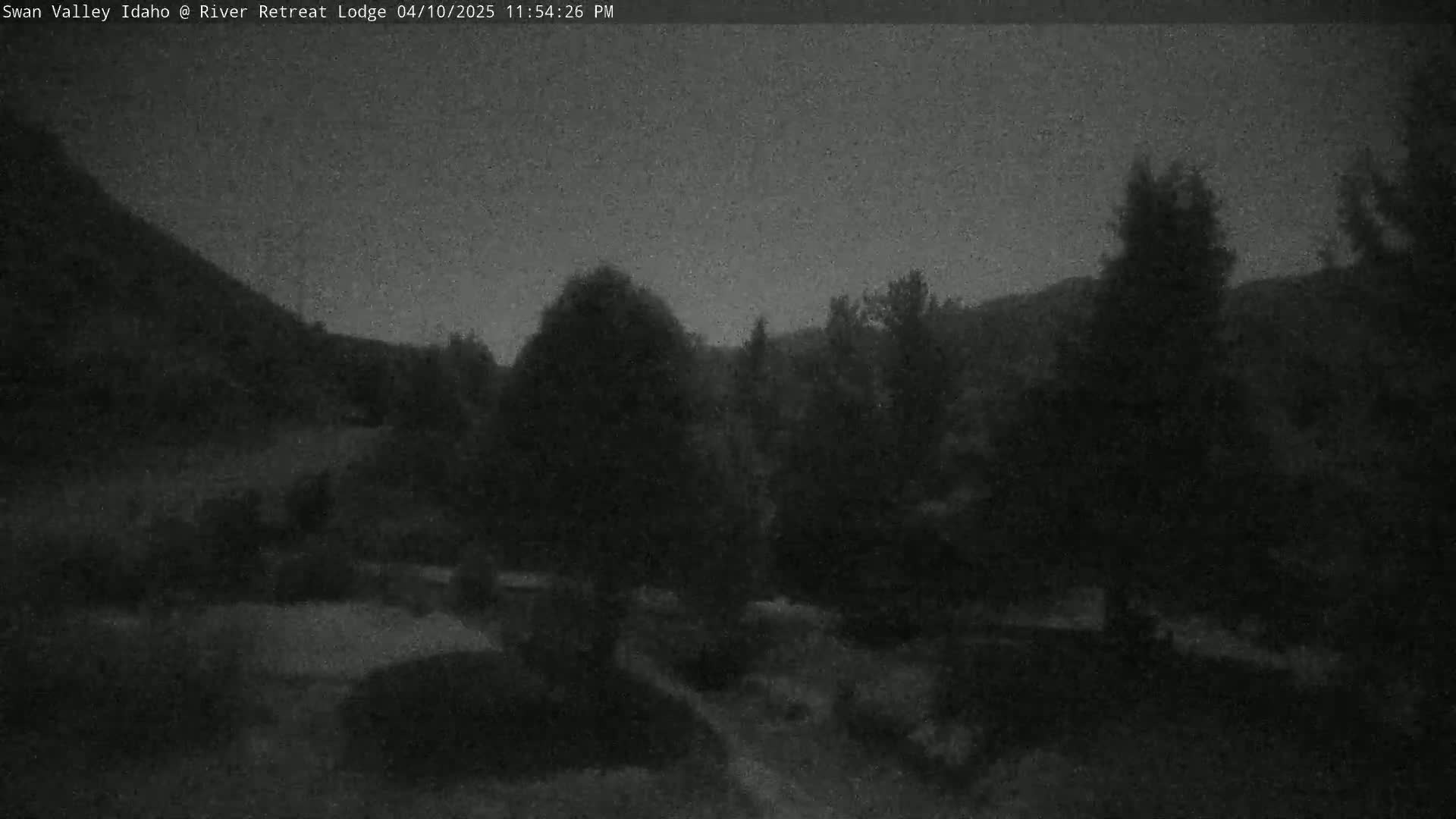 A nighttime view of a dark, wooded area with a hill in the background under a dusky sky.