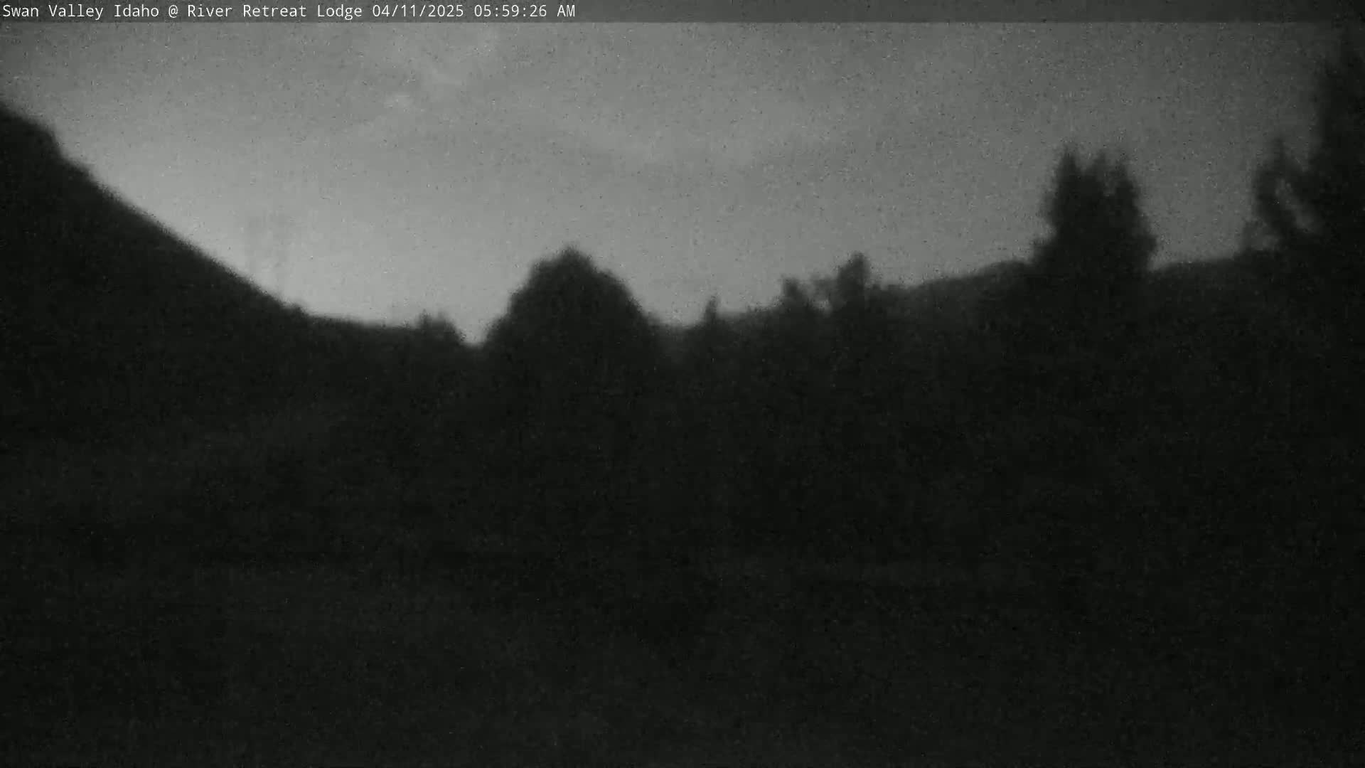 A dark, pre-dawn scene shows a hillside and silhouetted trees under a gray sky.
