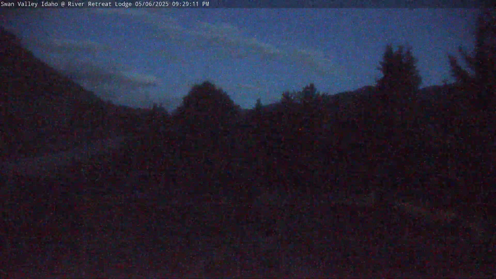 A dark, nighttime scene shows a hillside covered in silhouetted trees under a twilight sky.